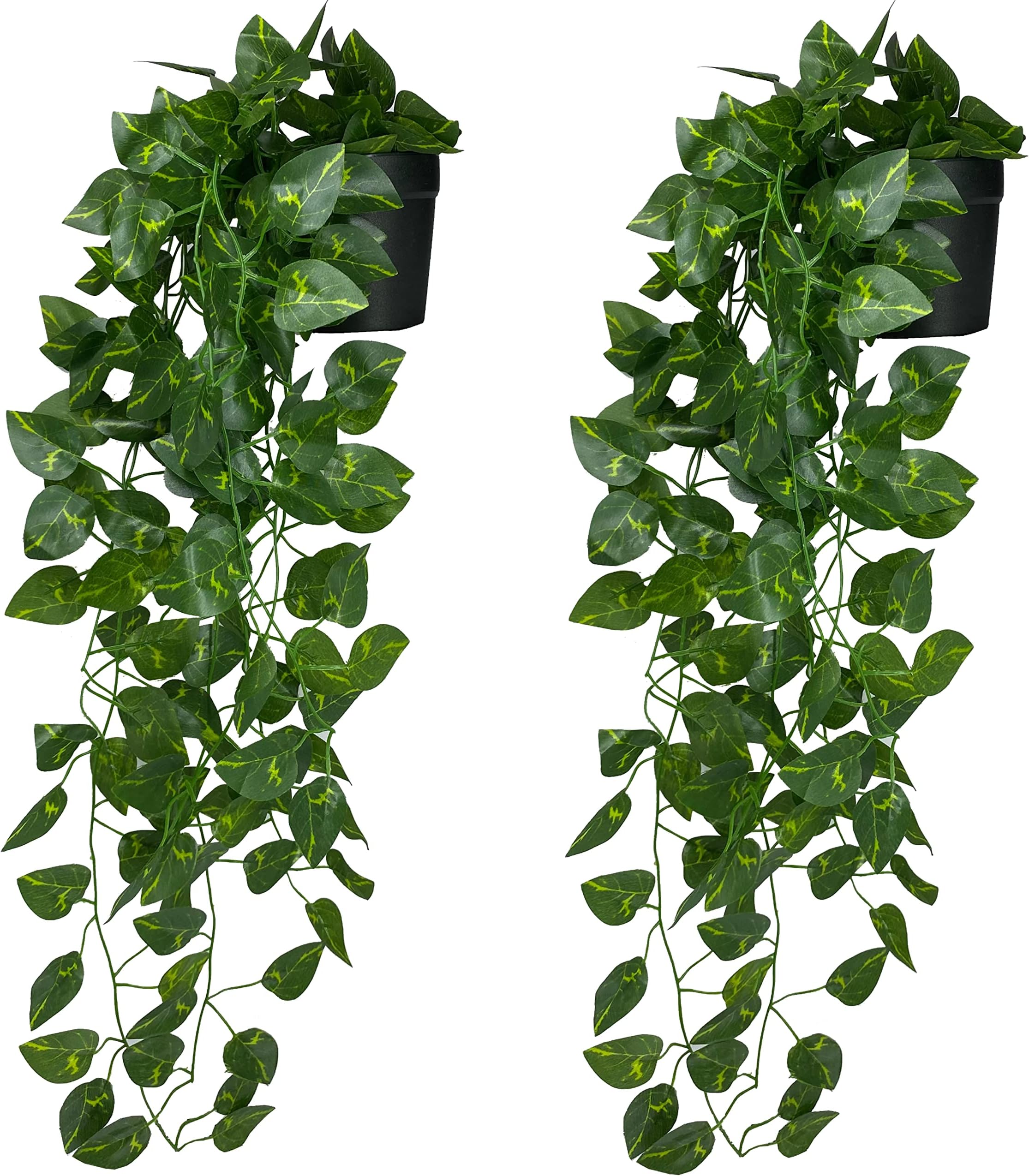 Tdas Artificial Plants with Pot Leaves Hanging Ivy Garlands Plant Greenery Vine Creeper Home Decor Door Wall Balcony Decoration Party Festival Craft (2 Pcs Money Plants) Plastic