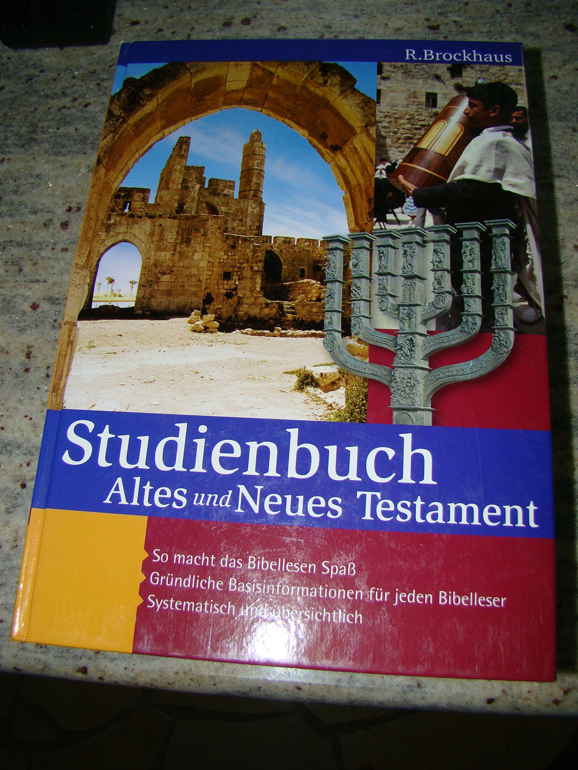 Studienbuch Altes und Neues Testament: Gründliche Basisinformationen für jeden Bibelleser