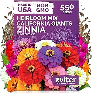 KVITER 550 California Giant Zinnia Seeds