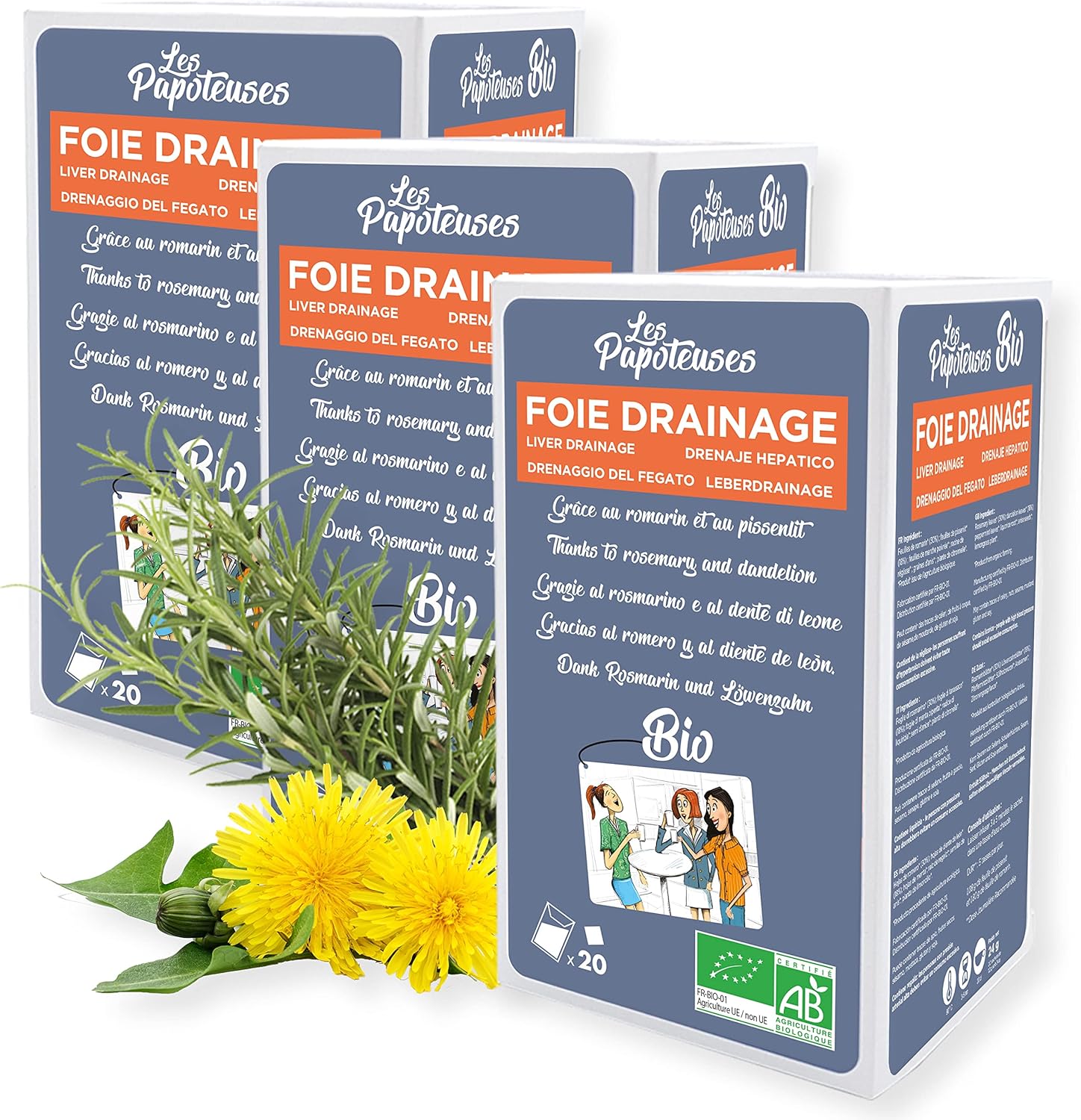 LES PAPOTEUSES | Organic infusion liver drainage thanks to rosemary and dandelion | 60 tea bags | Infusion set of 3 boxes of 20 sachets | Certified organic