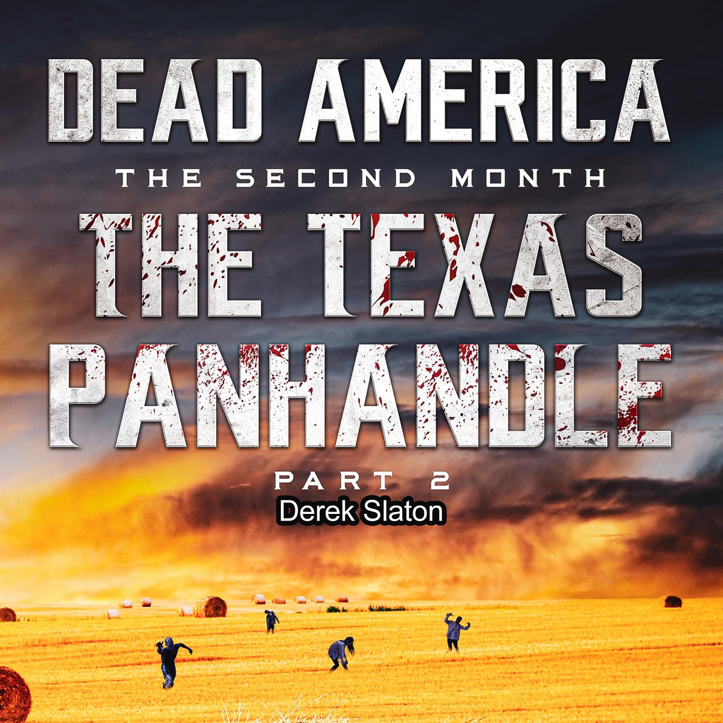 Cover art for Dead America, The Texas Panhandle, Pt. 2