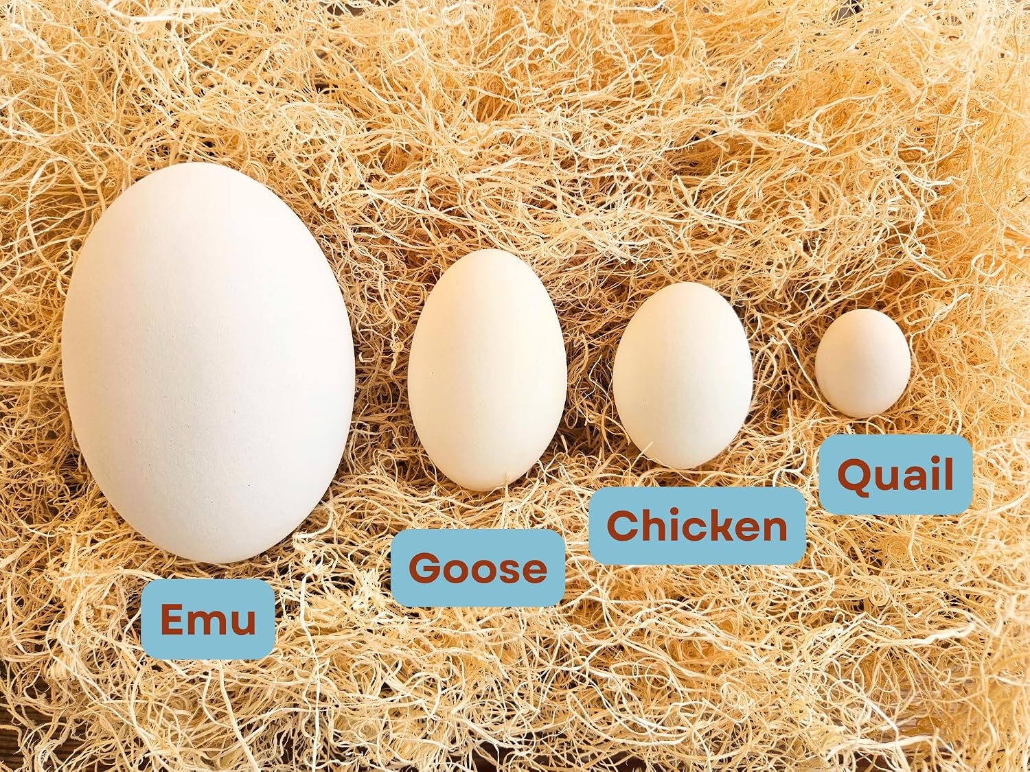 Ceramic Nest Eggs 4-Pack (Brown)