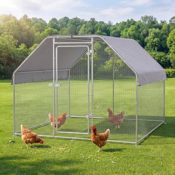 9.84L6.56W6.56H Large Metal Chicken Coop, Walk in Chicken Coop with Run with Cover, Spire Roof Chicken Pen with Security Lock for Outdoor and Backyard, Farm, Duck Rabbit Poultry Cage