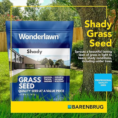 Miniatura 8 de Barenbrug Wonderlawn Shady Grass Seed Mix para el cuidado del césped y el paisajismo, bolsa de 10 libras