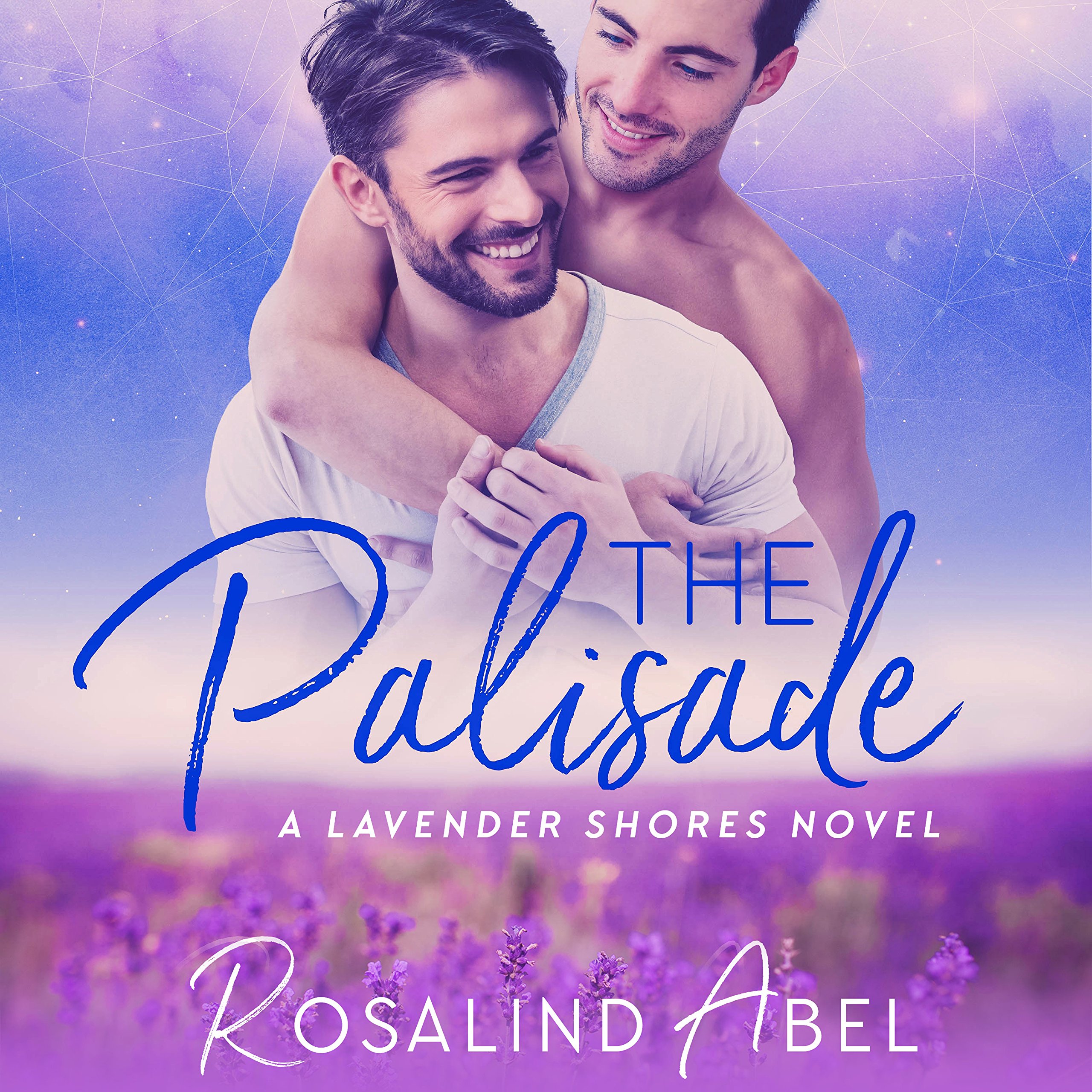 Cover art for The Palisade
