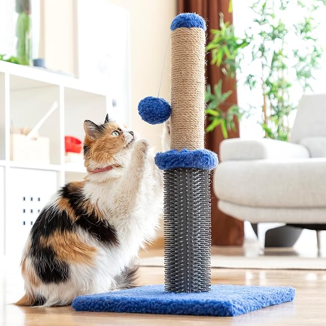 Foto 7 de 8 de InnovaGoods® Poste rascador masajeador con Pelota para Gatos Miausage
