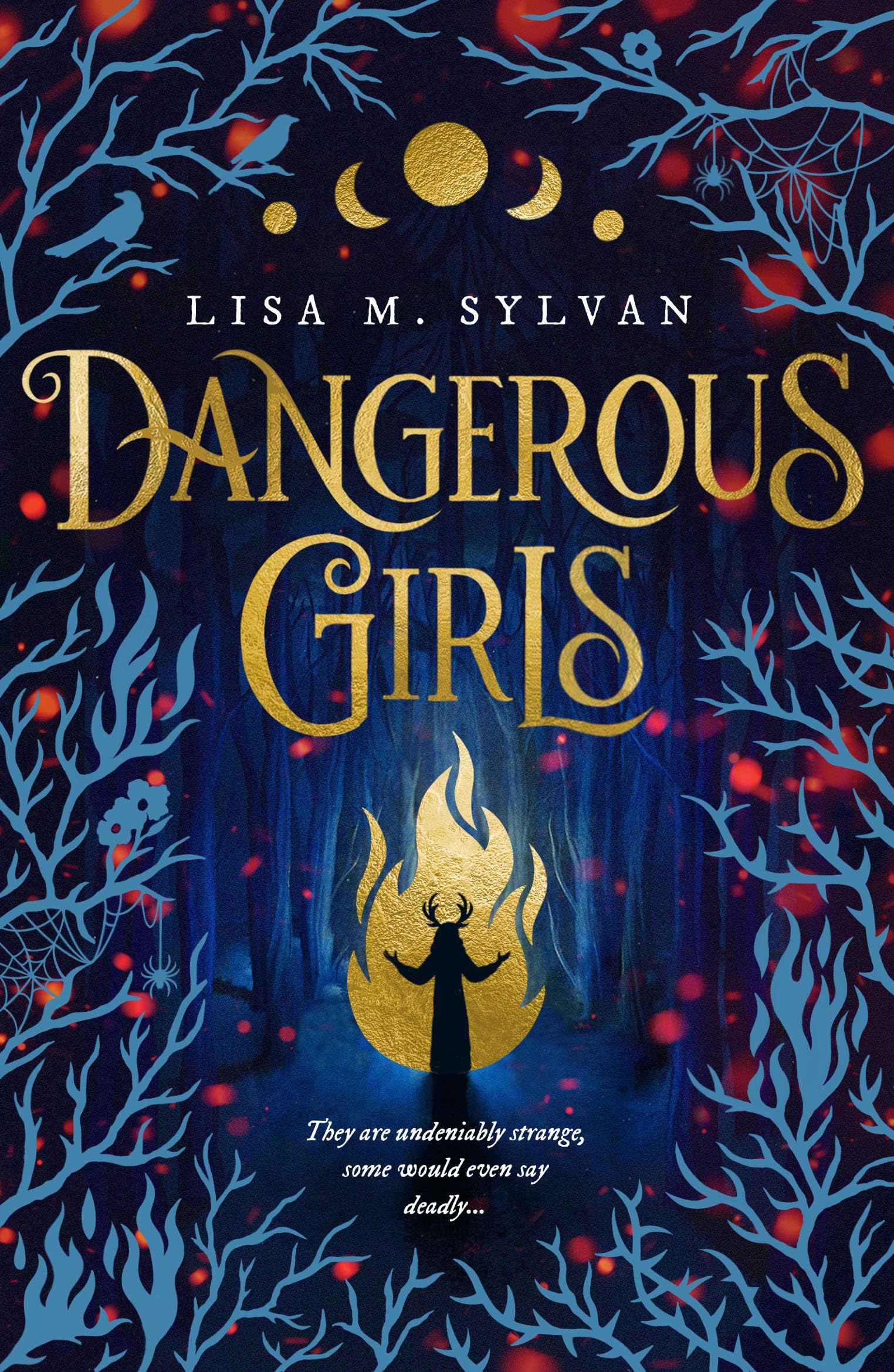 Dangerous Girls by Lisa M. Sylvan (Paperback Book)