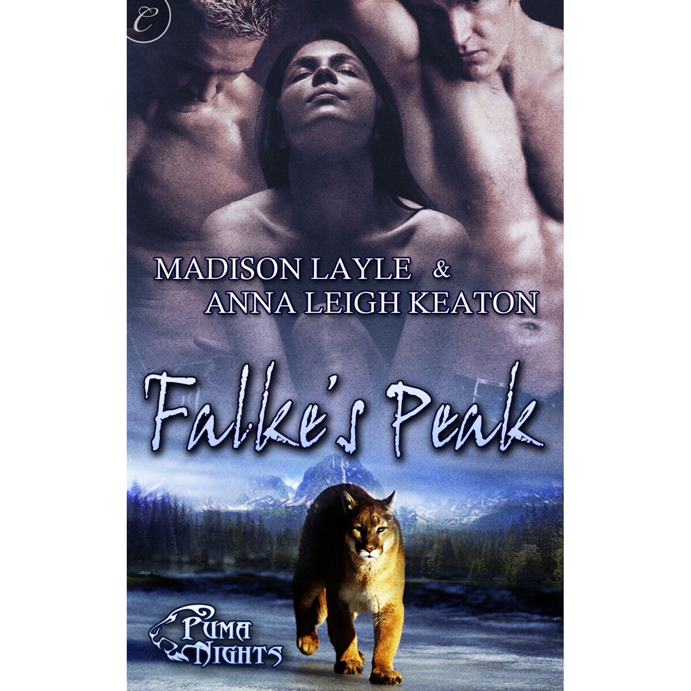 Cover art for Falke's Peak