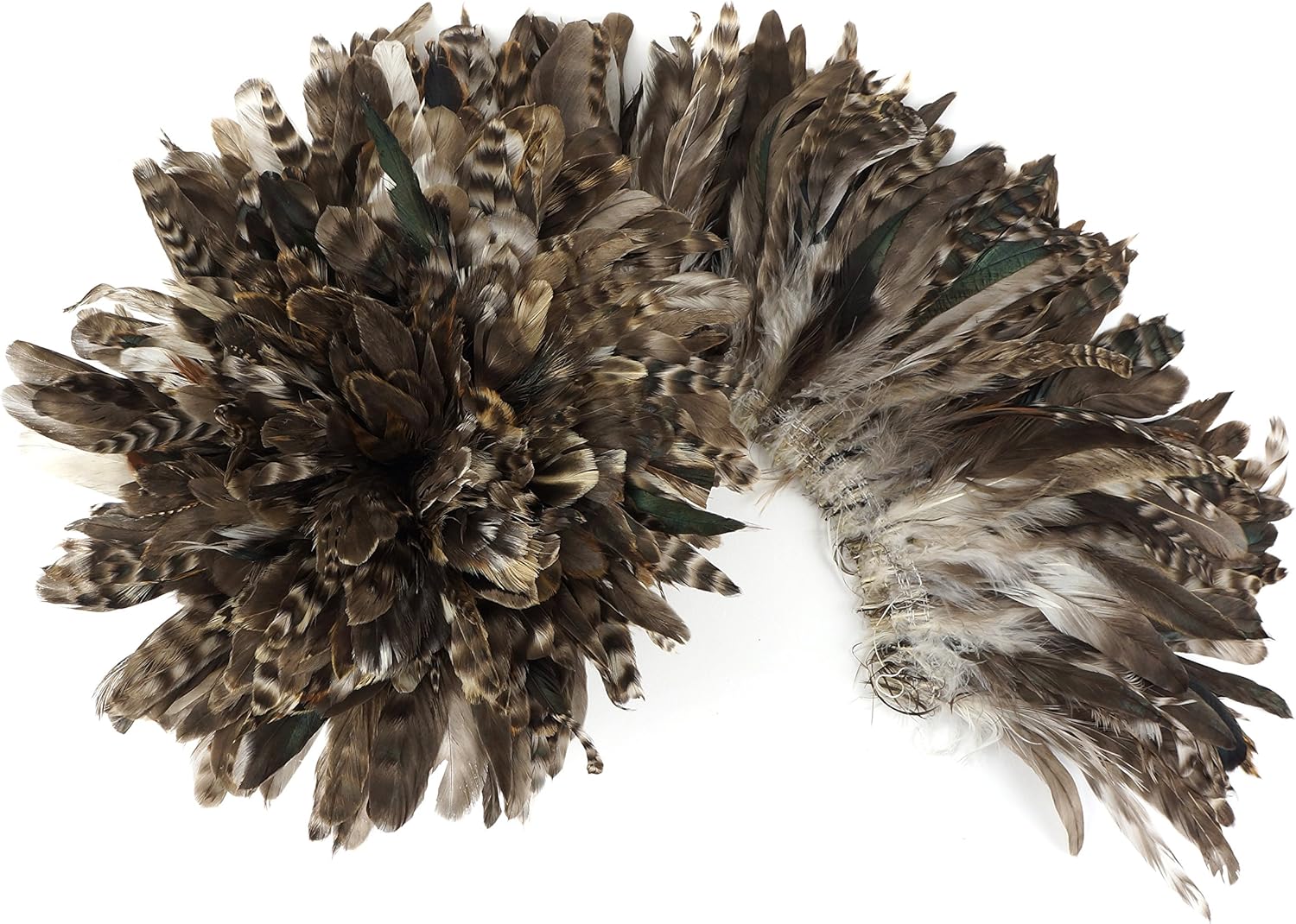 ZUCKER 1yd Rooster Coque Tail Feathers - 3-6 inch Strung and Rolled Dyed Chinchilla Colorful Rustic Craft Supply for DIY Home Decor or Costume Decoration - Natural