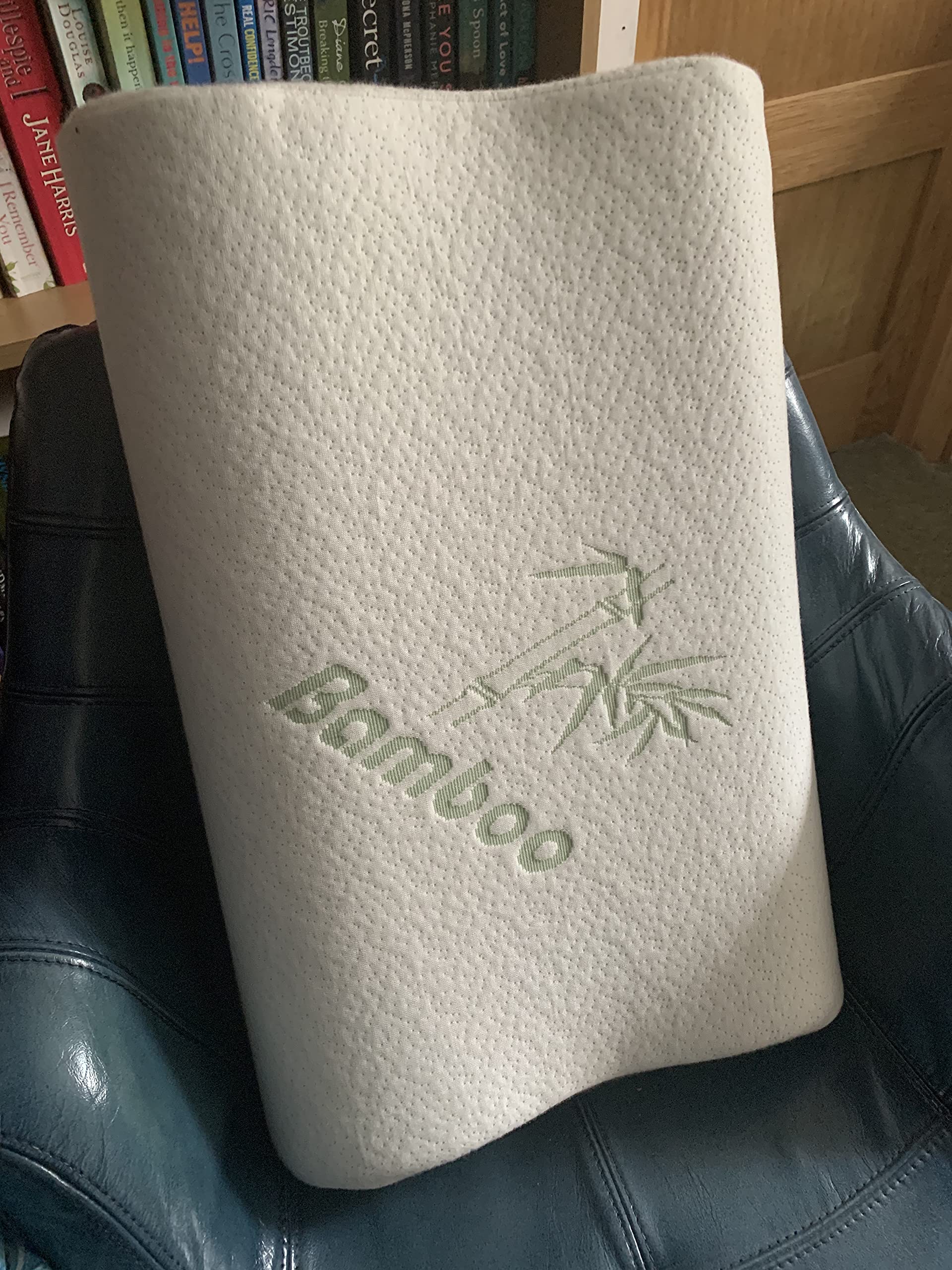 Silverdrake Bamboo Memory Foam Pillow