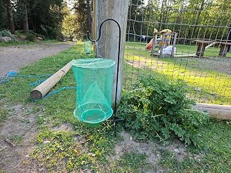 6 Pièges à Mouches Extérieur | Ranch Fly Trap | Réutilisable | Non Toxique | Pour Jardin Et Ferme