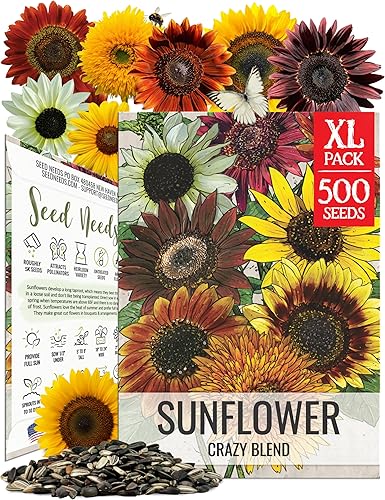 Miniatura 1 de Seed Needs Semillas de girasol para plantar la mezcla loca original | Más de 500 semillas de reliquia, más de 15 variedades polinizadas abiertas y