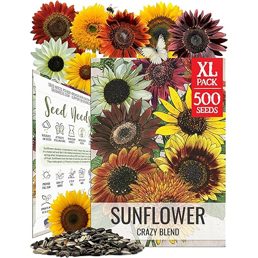 Seed Needs Sunflower Seeds to Plant The Original Crazy Blend | 500+ Heirloom Seeds 15+ Varieties Open Pollinated & Untreated | XL Packet Multicolored Blooms Flower Seed
