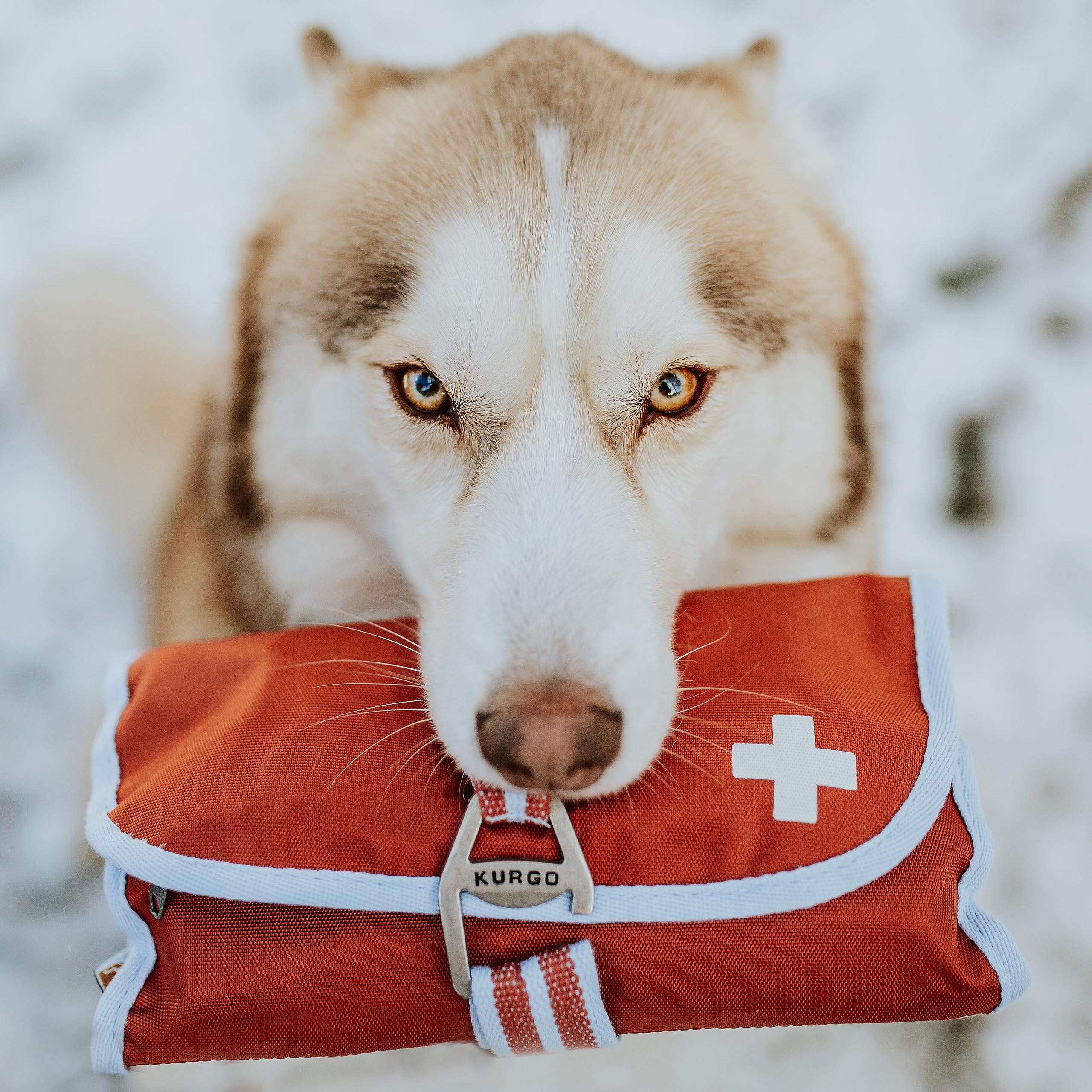 Kurgo - Kit de Primeros Auxilios para Perros - Para Excursiones y Viajes, incluye Guía y 50 Piezas en Estuche de Tela Oxford Resistente