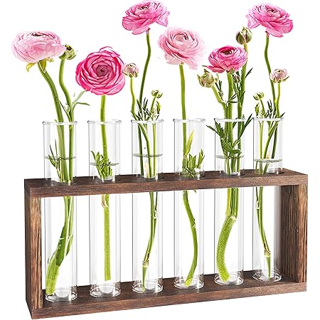 Amazon.com: Hinged Flower Vases Test Tube Flower Vase with 5 Test Tubes ...