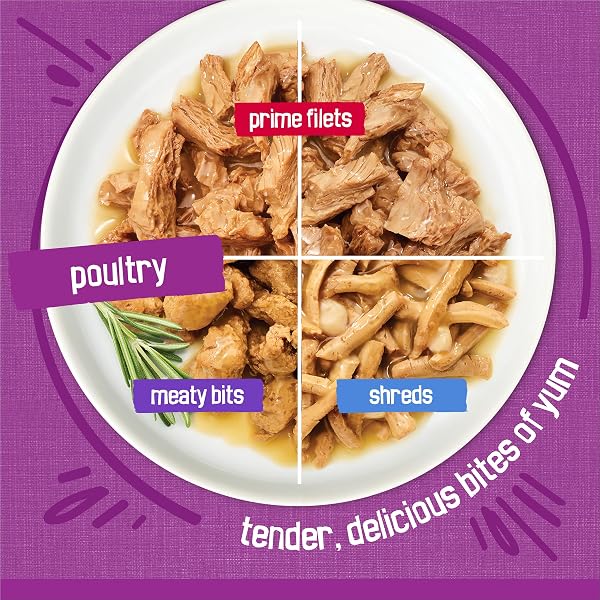 Purina Friskies Gravy Wet Cat Food Variety Pack, Poultry Shreds, Meaty Bits and Prime Filets - (Pack of 32) 5.5 oz. Cans - 4
