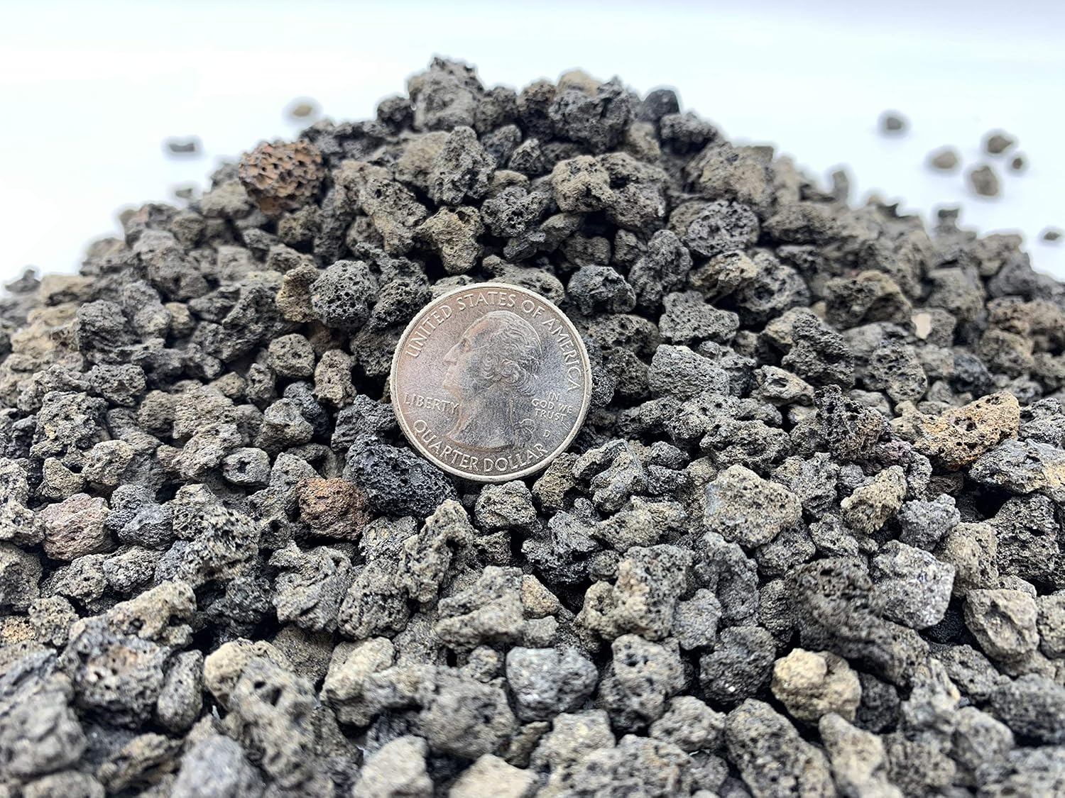 Black Lava Rock | 2 Quarts Bag | 1/4” Particle Size | Soil Aggregate for Bonsai, Cactus, Succulents, Aquariums, and More | Enables Optimal Drainage and Soil Aeration | The Bonsai Supply - Image 2