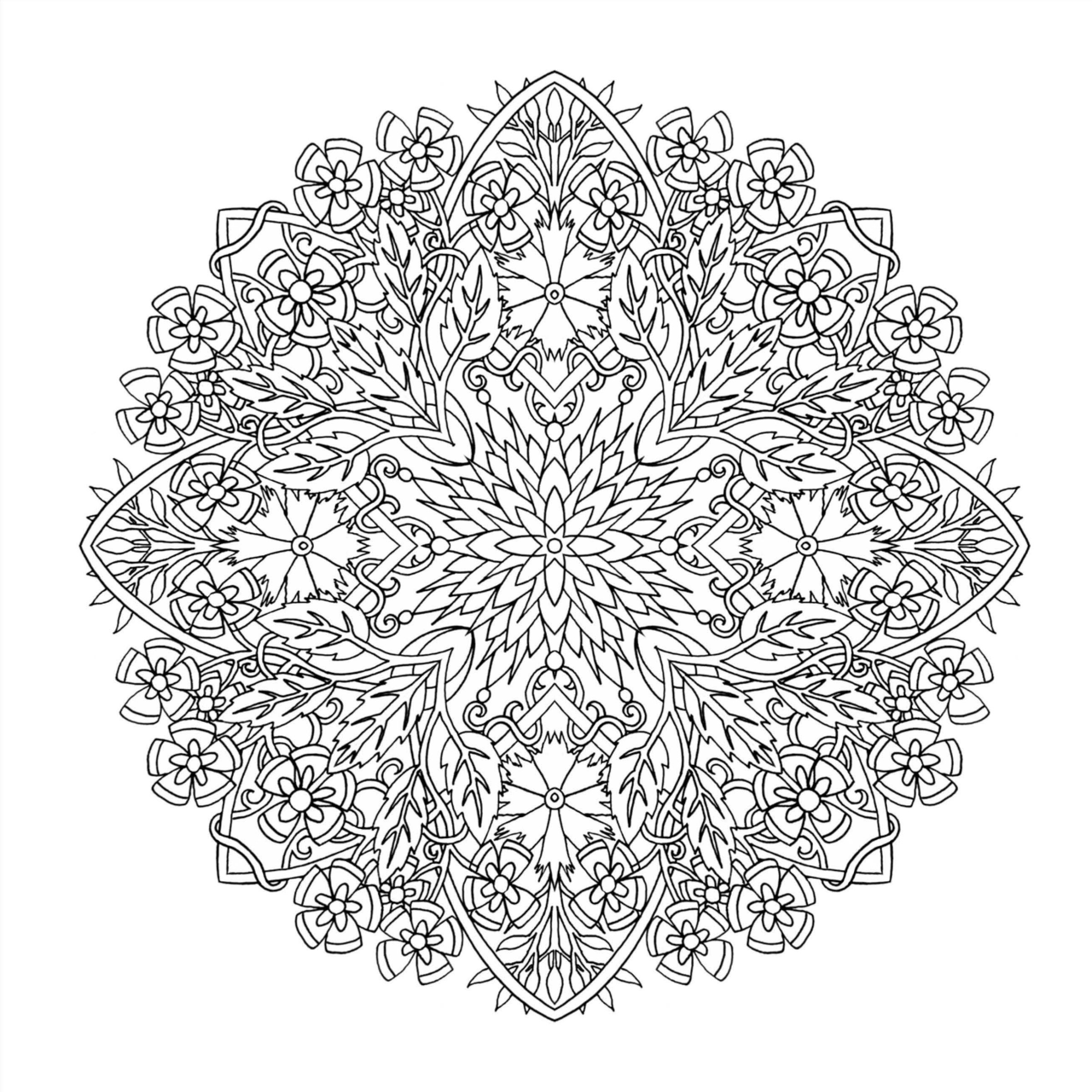 Amazon Co Jp Flower Mandalas 心を整える 花々のマンダラぬりえ シンシア エマリー Japanese Books