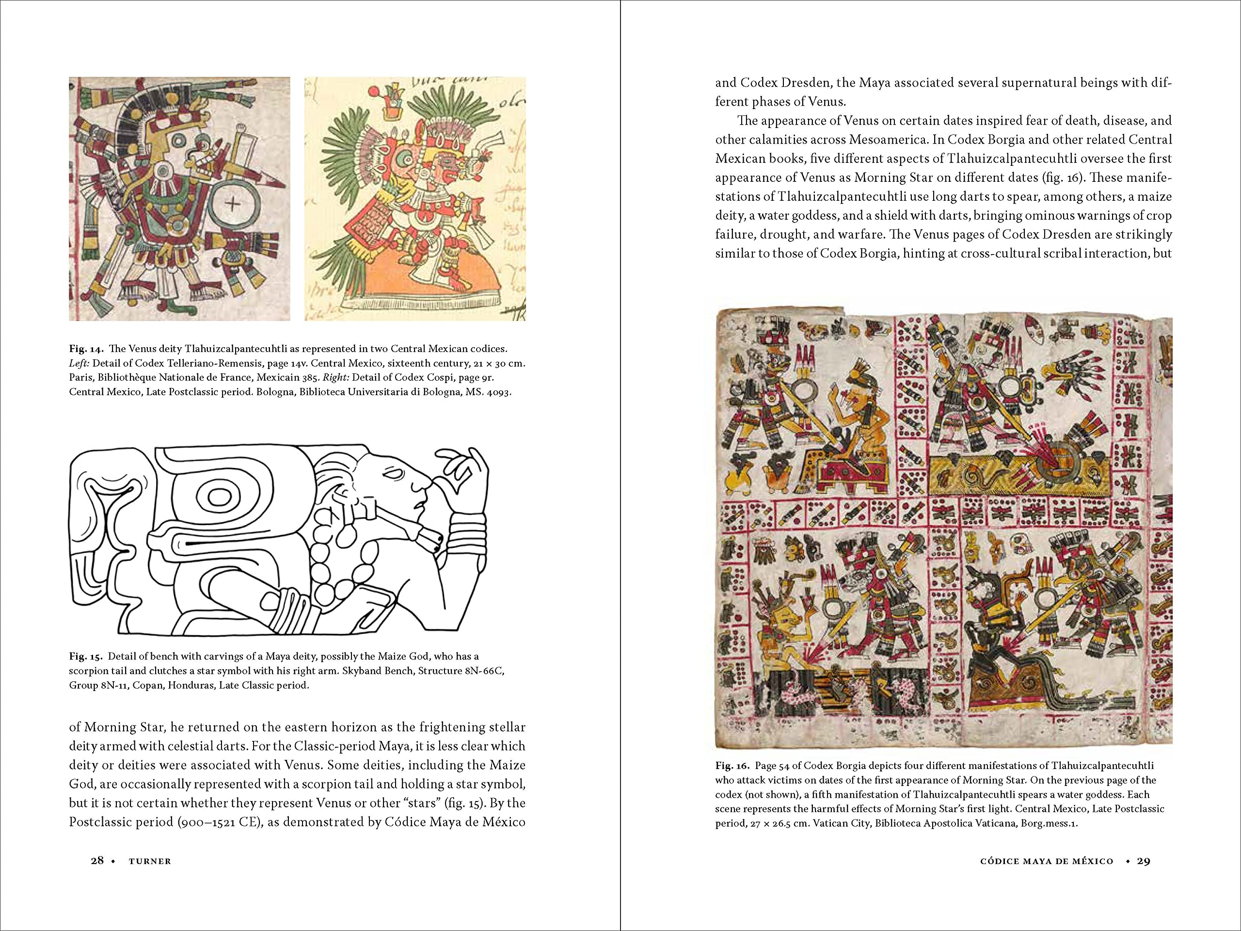 Codice Maya de Mexico: Understanding the Oldest Surviving Book of the Americas