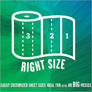 Seventh Generation Paper Towels, 100% Recycled Paper, 2-Ply, 6-Count (Pack of 4)