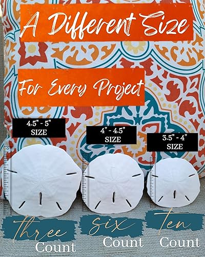 Miniatura 6 de Juego grande de dólares de arena, 3.5 a 4 pulgadas (paquete de 10), decoración de playa, manualidades, decoración de boda