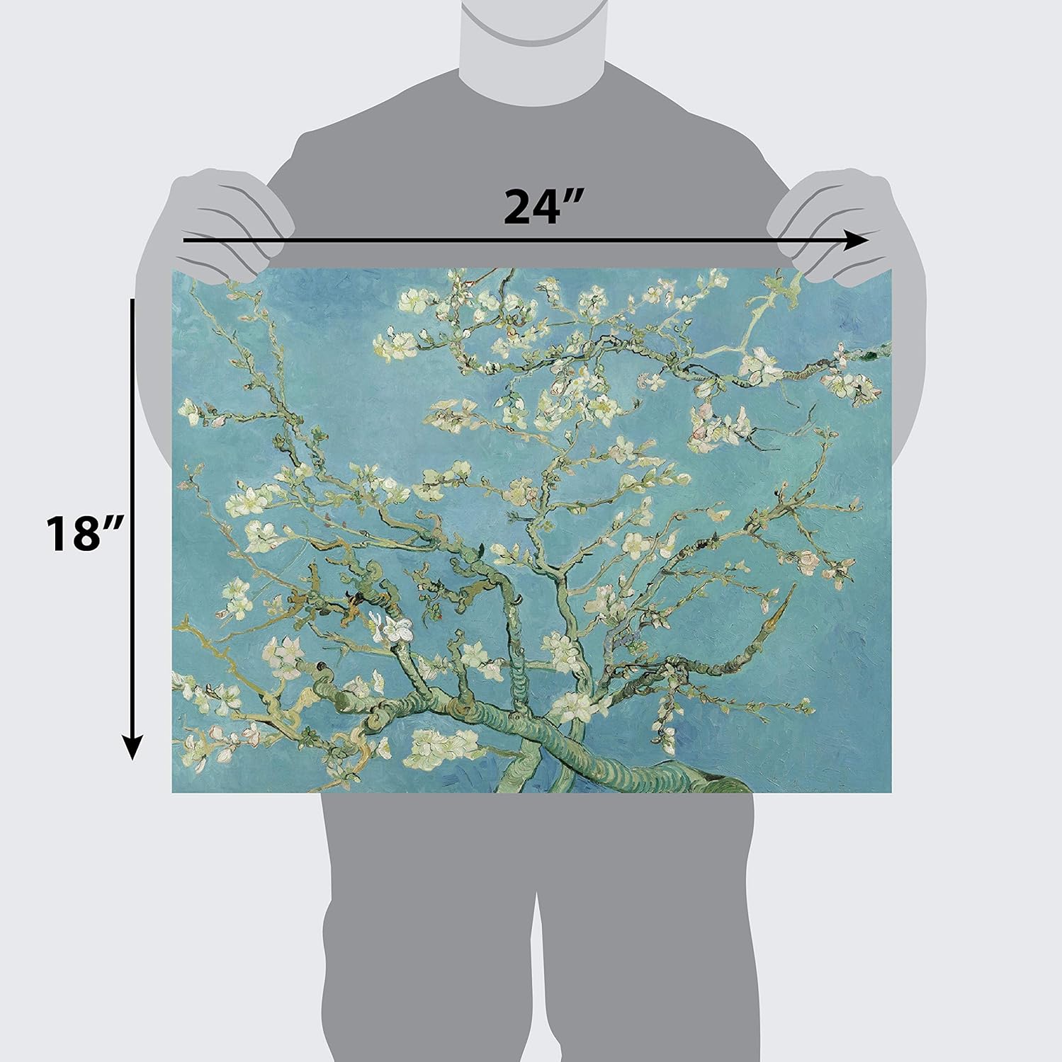 PalaceLearning Vincent Van Gogh Almond Blossom Poster Print - 1890 - Fine Art Wall Decor (18" x 24", Laminated): Posters & Prints