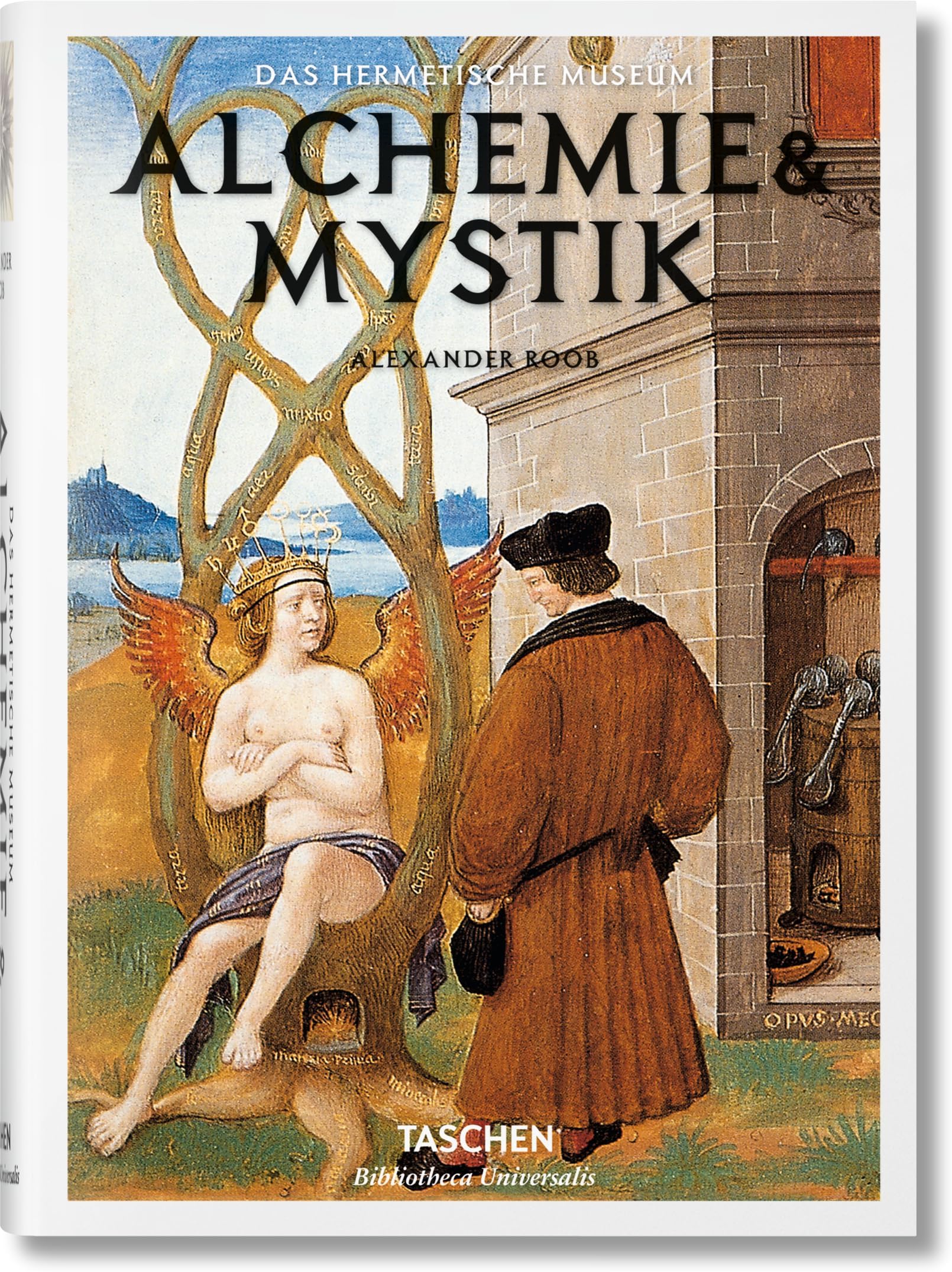 Alchemie & Mystik (Bibliotheca Universalis)