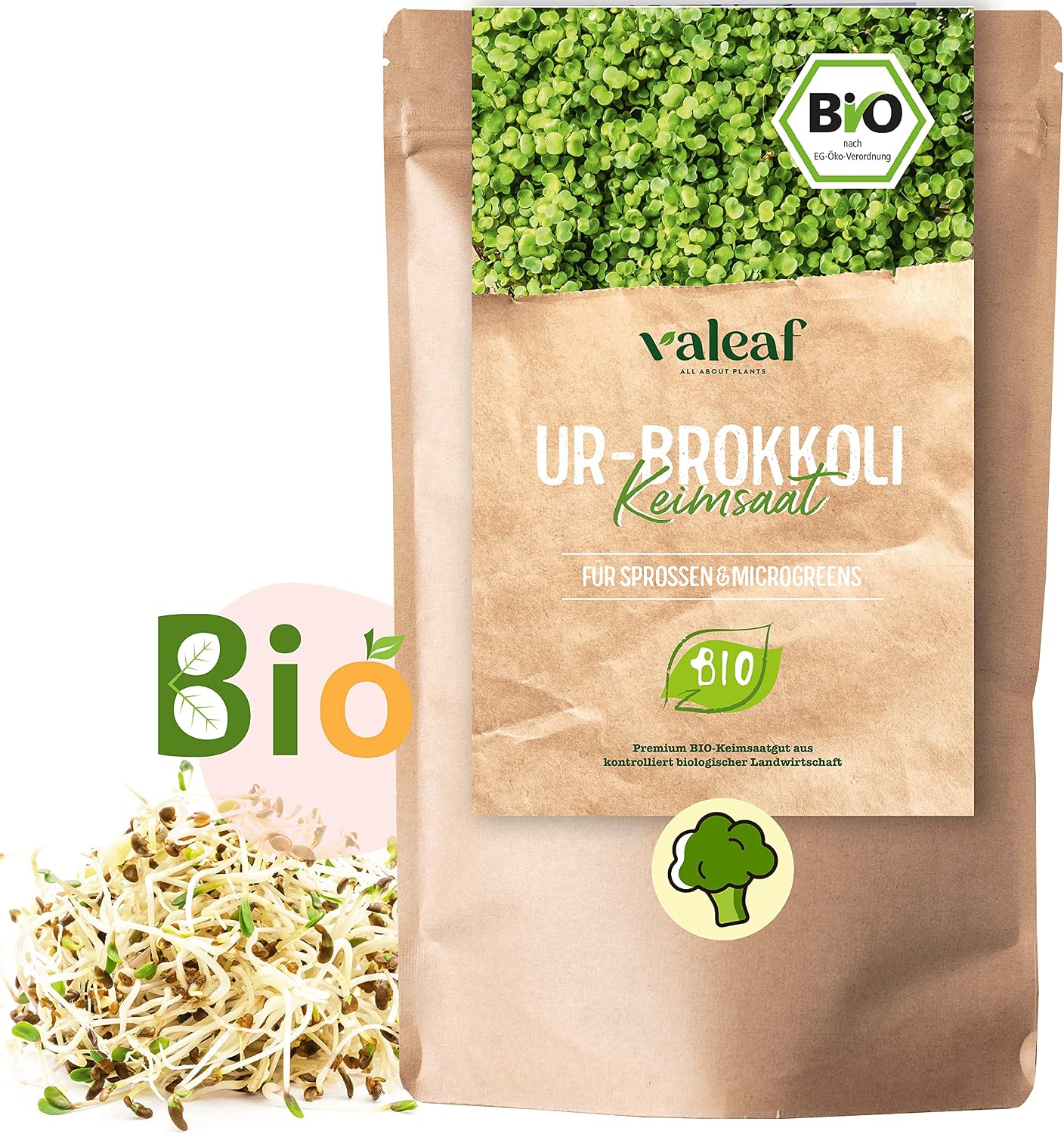 valeaf Organic Broccoli Sprouting Seeds 500 g I Broccoli Seeds for Broccoli Sprouts with Sulfarophane I Broccoli Sprouts Organic I Broccoli Seeds with Highest Quality & Germination I Organic Germination Seeds