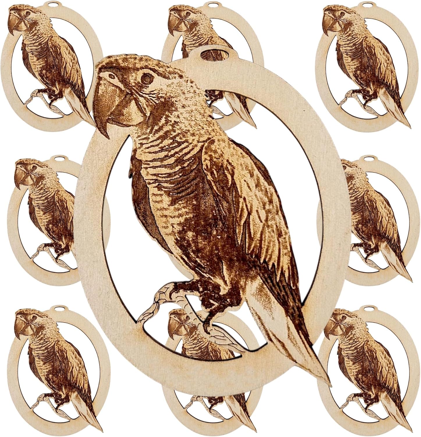 10PK Personalized Amazon Ornament, Gifts for Bird Owners, Bird Ornaments for Christmas Tree, Parrot Lover Gifts & Holiday Decor