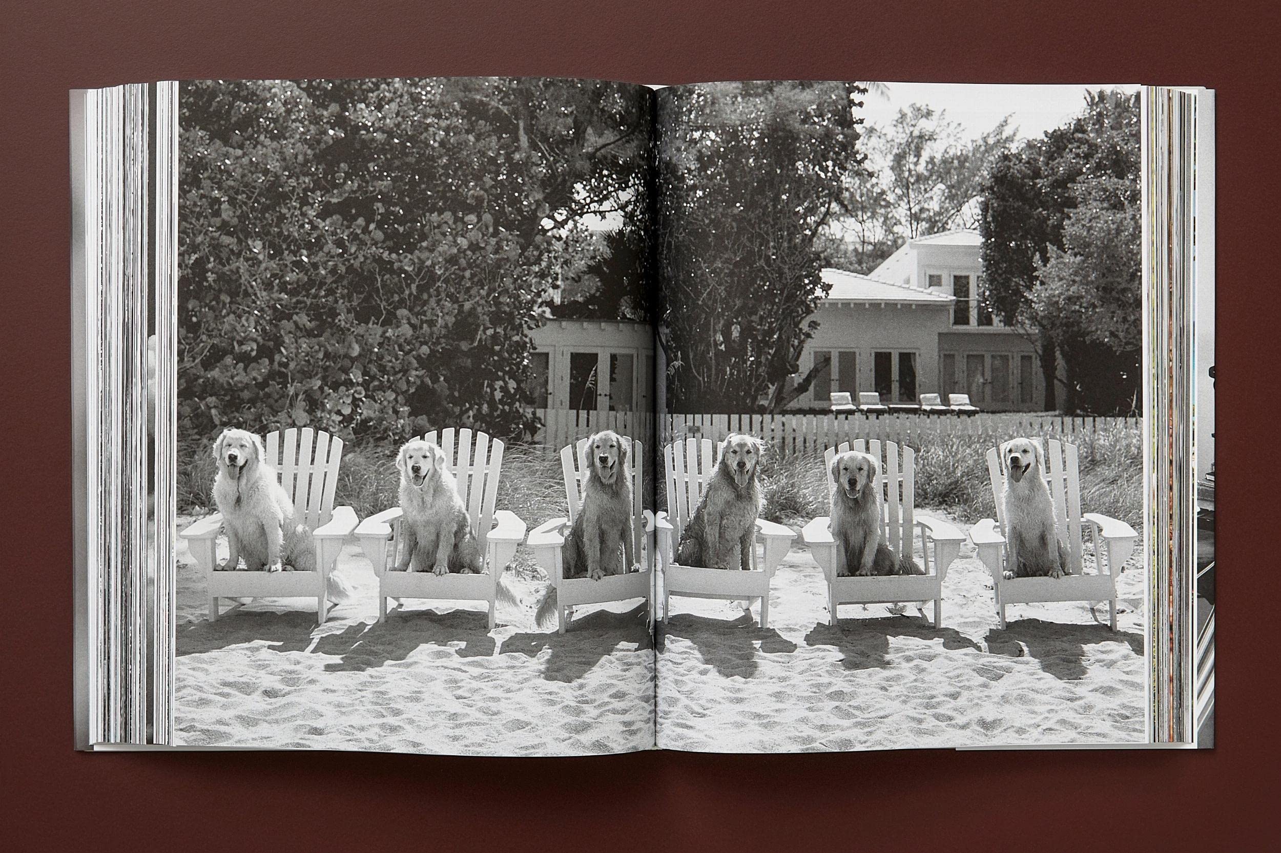 Bruce Weber: The Golden Retriever Photographic Society