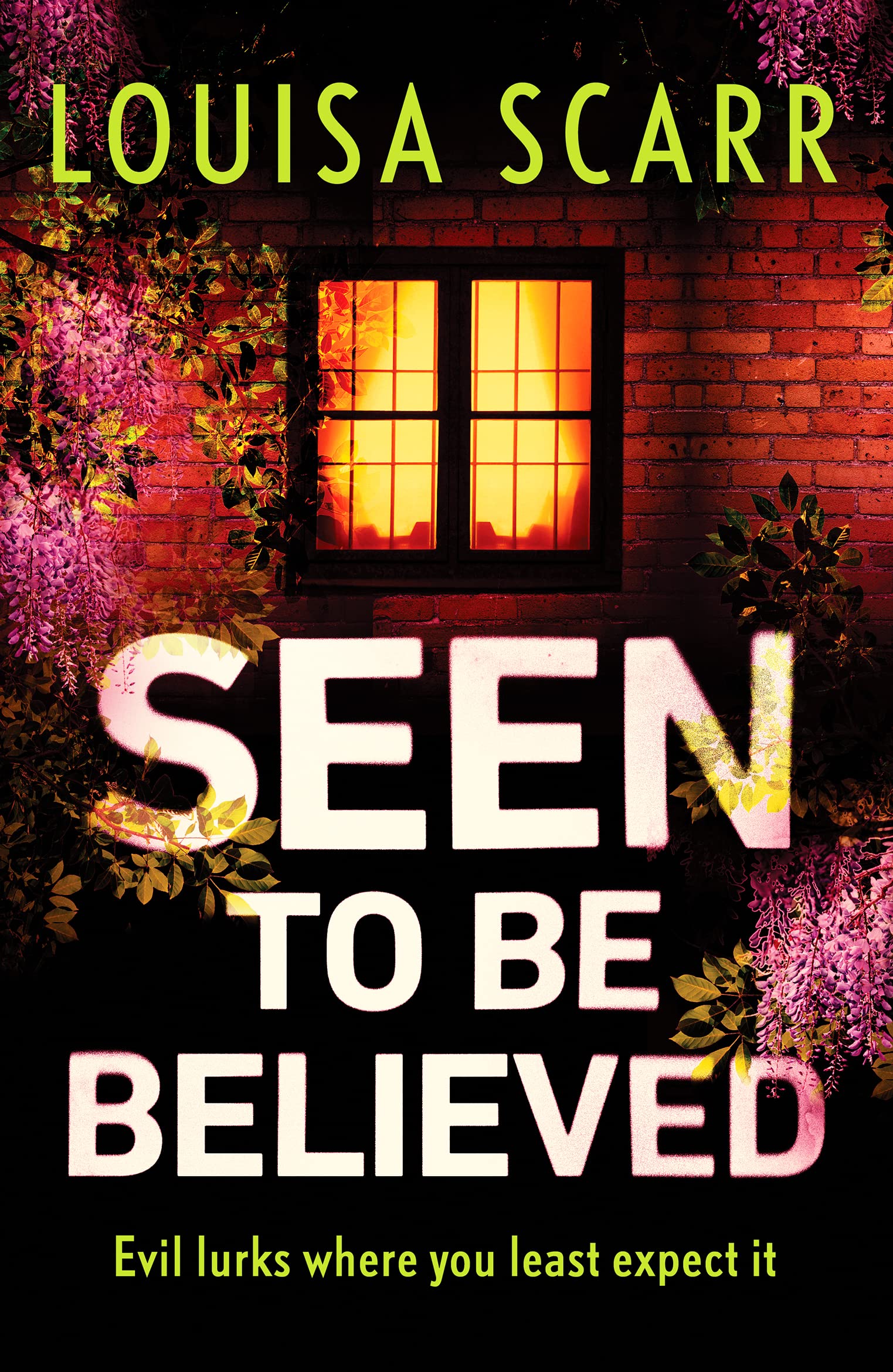 Seen To Be Believed