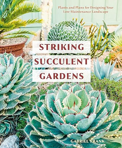 Striking Succulent Gardens: Plants and Plans for Designing Your Low-Maintenance