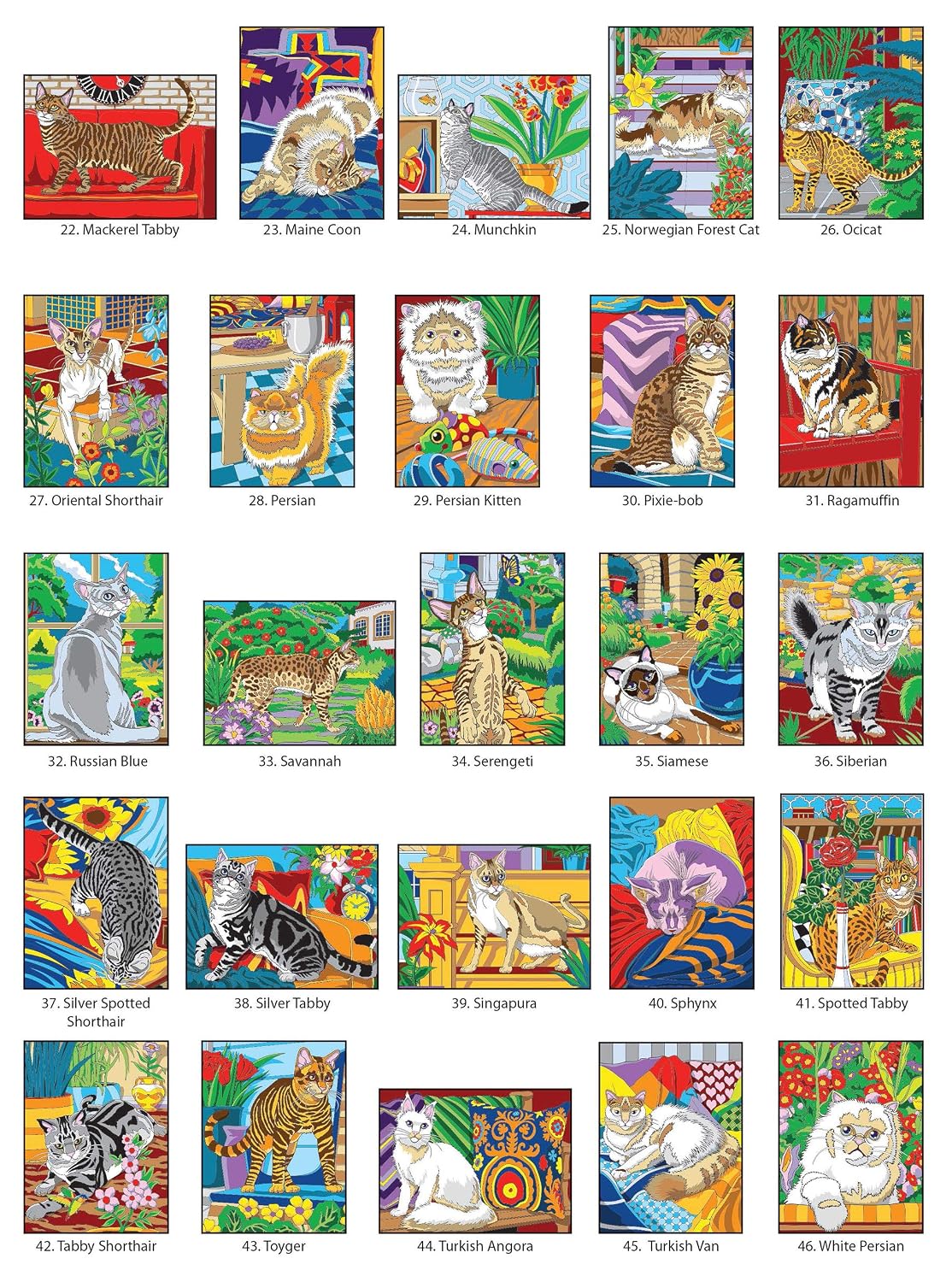Creative Haven Cats Color by Number Coloring Book (Adult Coloring Books: Pets)