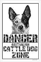 Cartello Metallo 'Attenti Al Cane' Border Collie - 15x20 Cm - Decorazione Da Esterno - Foto 10