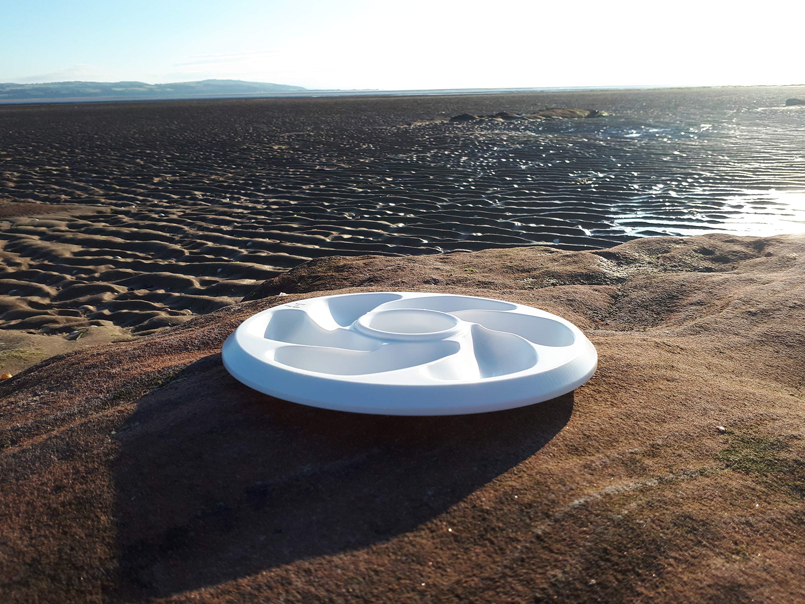 Image secondaire de Lot de 4 Assiettes à Huîtres en Plastique - Service Pratique