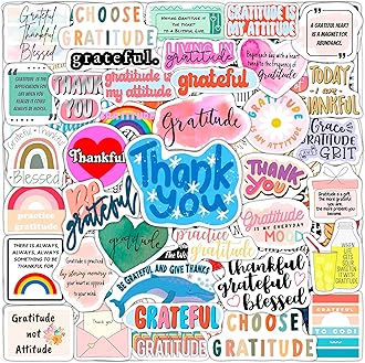 BulbaCraft Gratitude Stickers for Water Bottle and Laptop - Inspirational Party Favors & Decorations, Waterproof Vinyl Positive Decals, Thankfulness Stickers Laptop Decals, Gifts for Women & Men