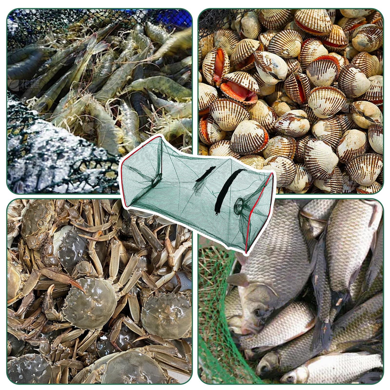 Lot de 3 Nasse a Poisson Rectangulaires Piège à Poisson Pliable Piège à Poissons Pliable Multifonctions Pièges à Poissons pour Crevettes Homards Crabes