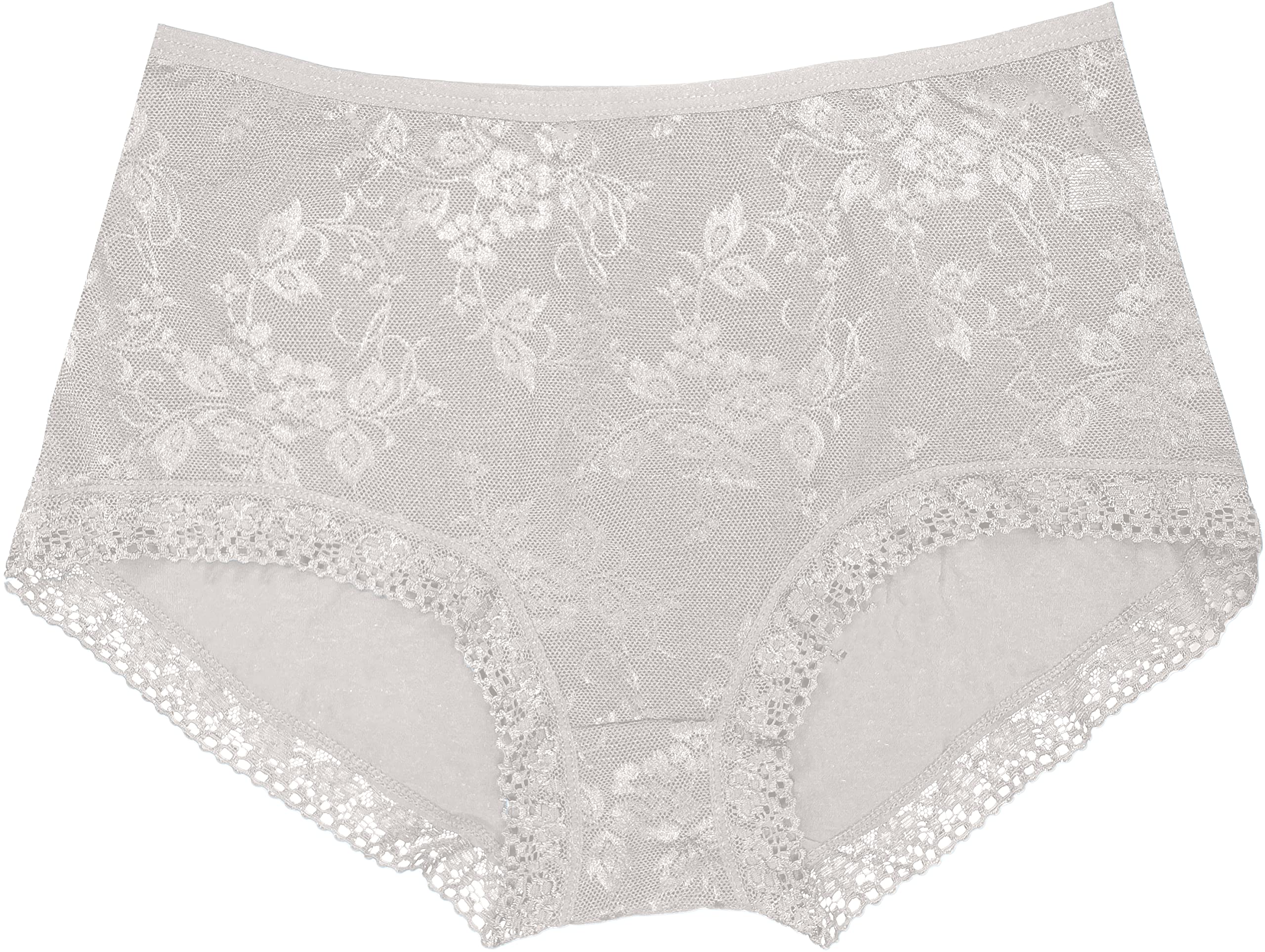 dressably Women Girls Full Coverage Lace Hipster Panty Underwear Briefs-picture-18