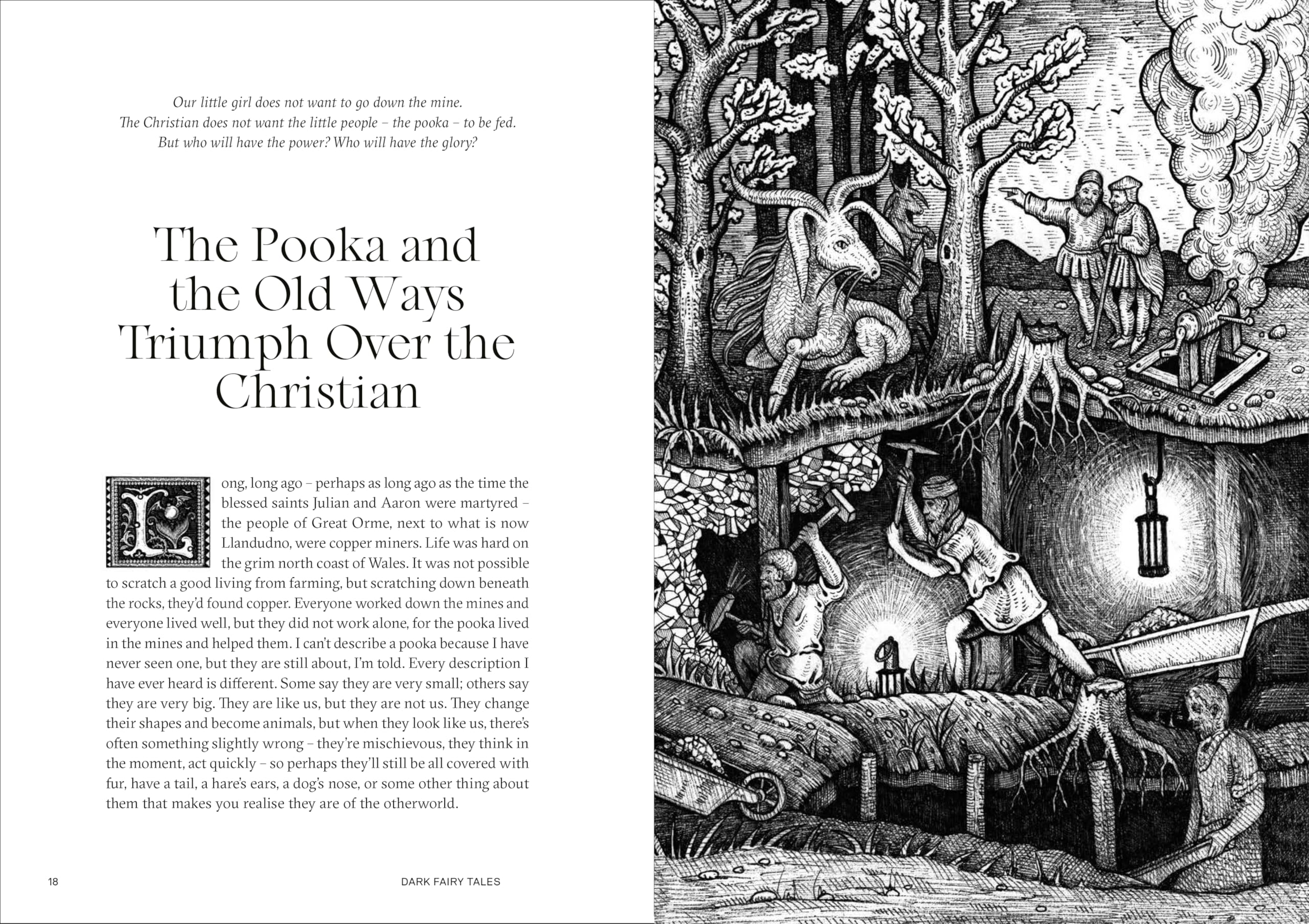 Dark Fairy Tales: Weird, Wicked Stories from Around the World