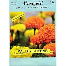 Set of Flower Seed Packets! Flower Seeds in Bulk - Great for Creating The Garden of Your Dreams! 100, Marigold - Crackerjack