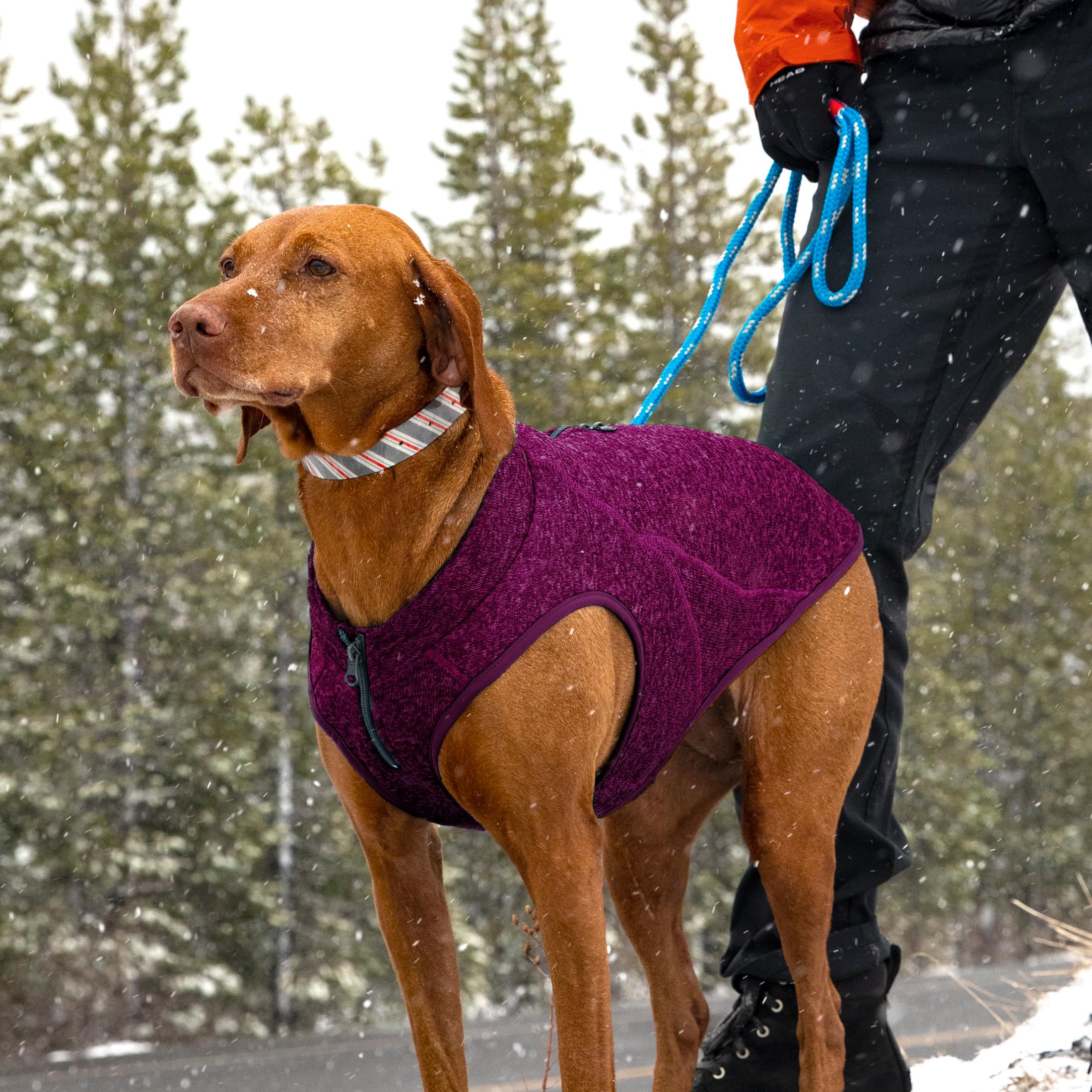Kurgo Core hondentrui, het hele jaar door trui voor honden, hondenfleece vest, gebreide fleece huisdierjas, fleece voering, lichtgewicht, ritssluiting voor harnas, verstelbare hals, violet, L Kurgo Core hondentrui, het hele jaar door trui voor honden, hondenfleece vest, gebreide fleece huisdierjas, fleece voering, lichtgewicht, ritssluiting voor harnas, verstelbare hals, violet, L