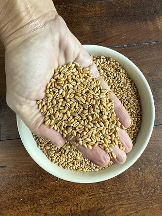 Soft Red Wheat Berries | 25 Pound Bucket