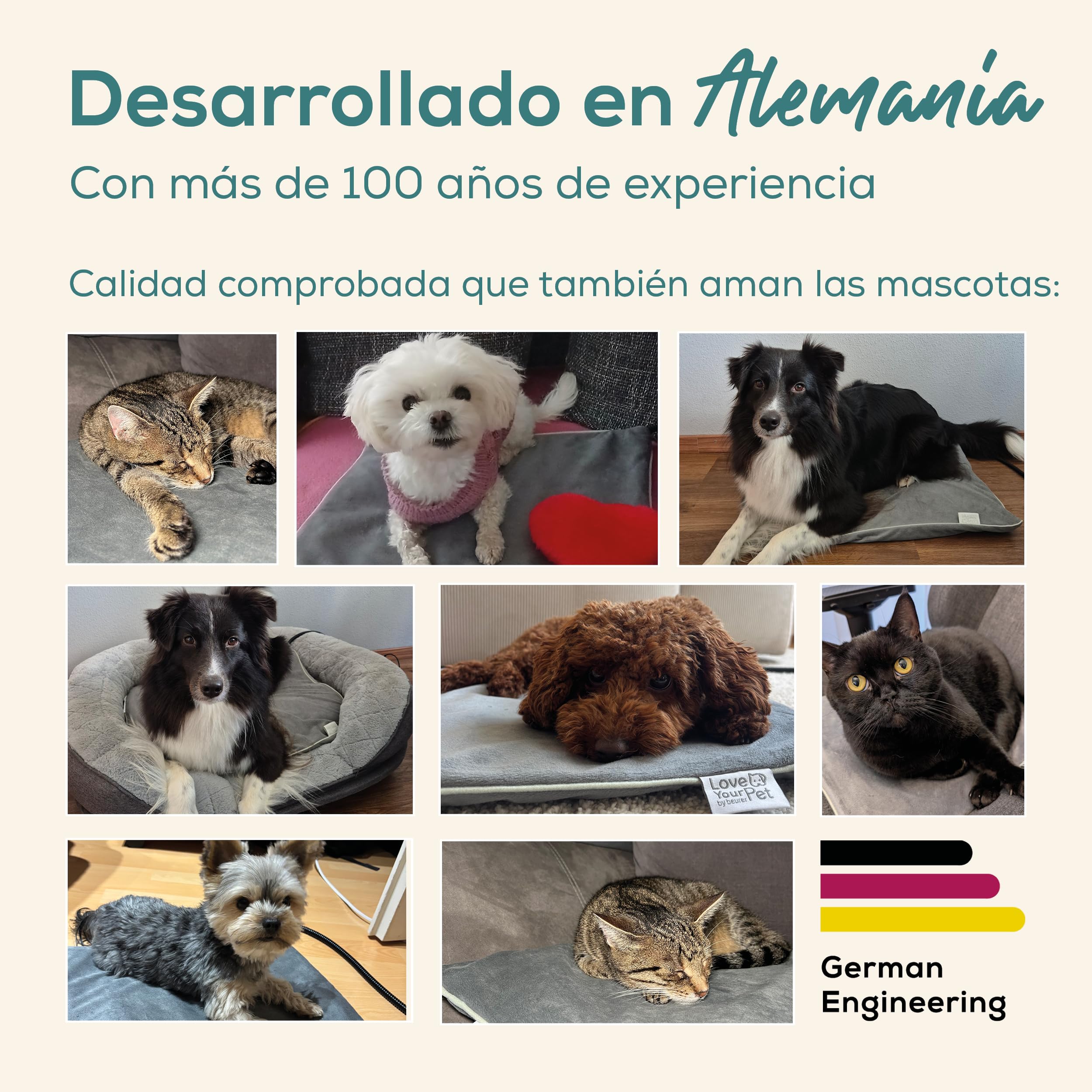 Beurer Love Your Pet Colchoneta térmica Talla L «Sammy» de para Perros y Gatos, con Temporizador, Grande, Almohadilla eléctrica XXL Lavable a 30 °C, Resistente a los arañazos y el Agua, 65 × 50 cm