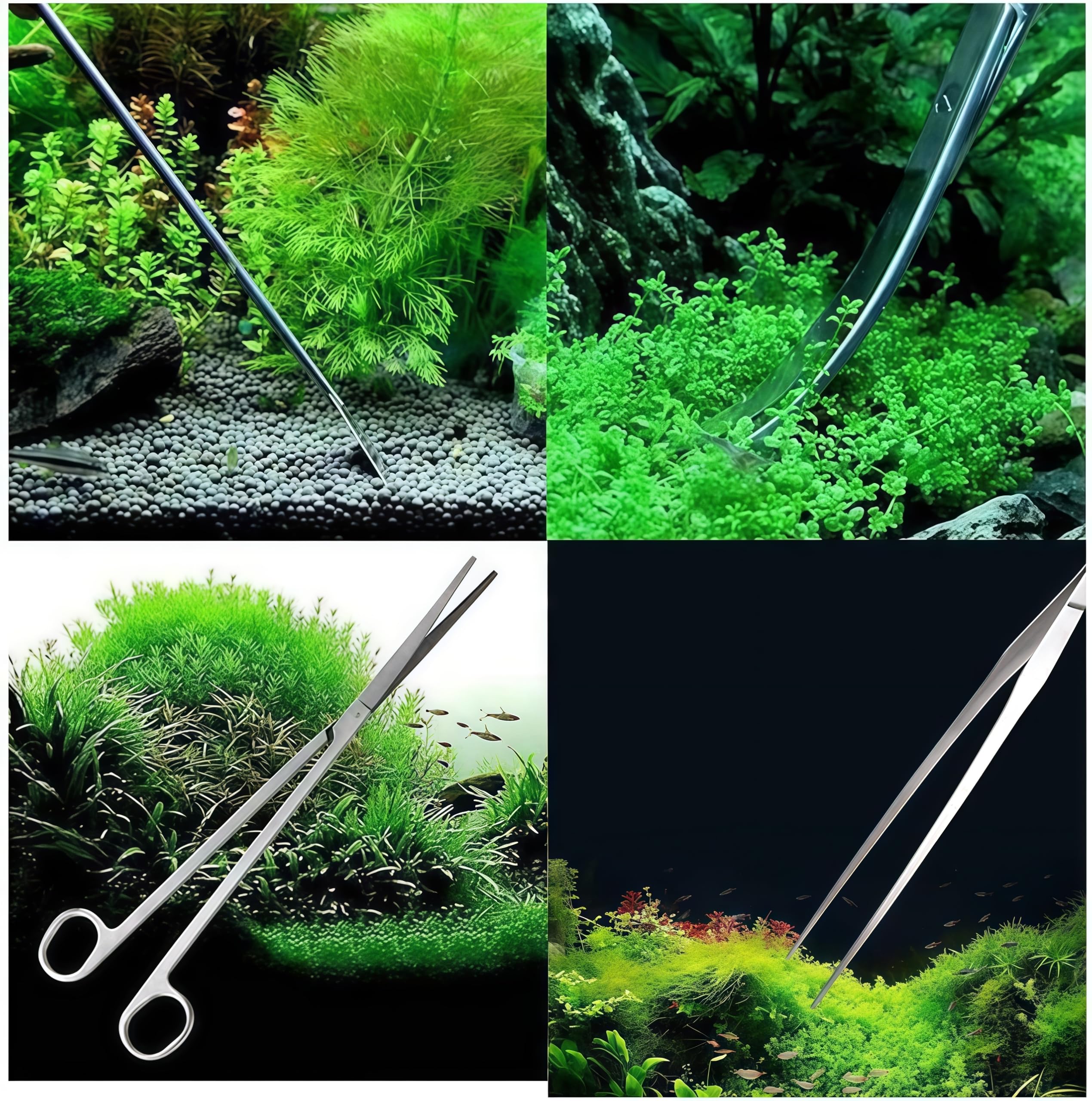 Piante Acquario Attrezzi Set,5 in 1 in acciaio inox,Forcipe,Forbici,Acquari e pesci Starter Kit per l'acquario Landscaping