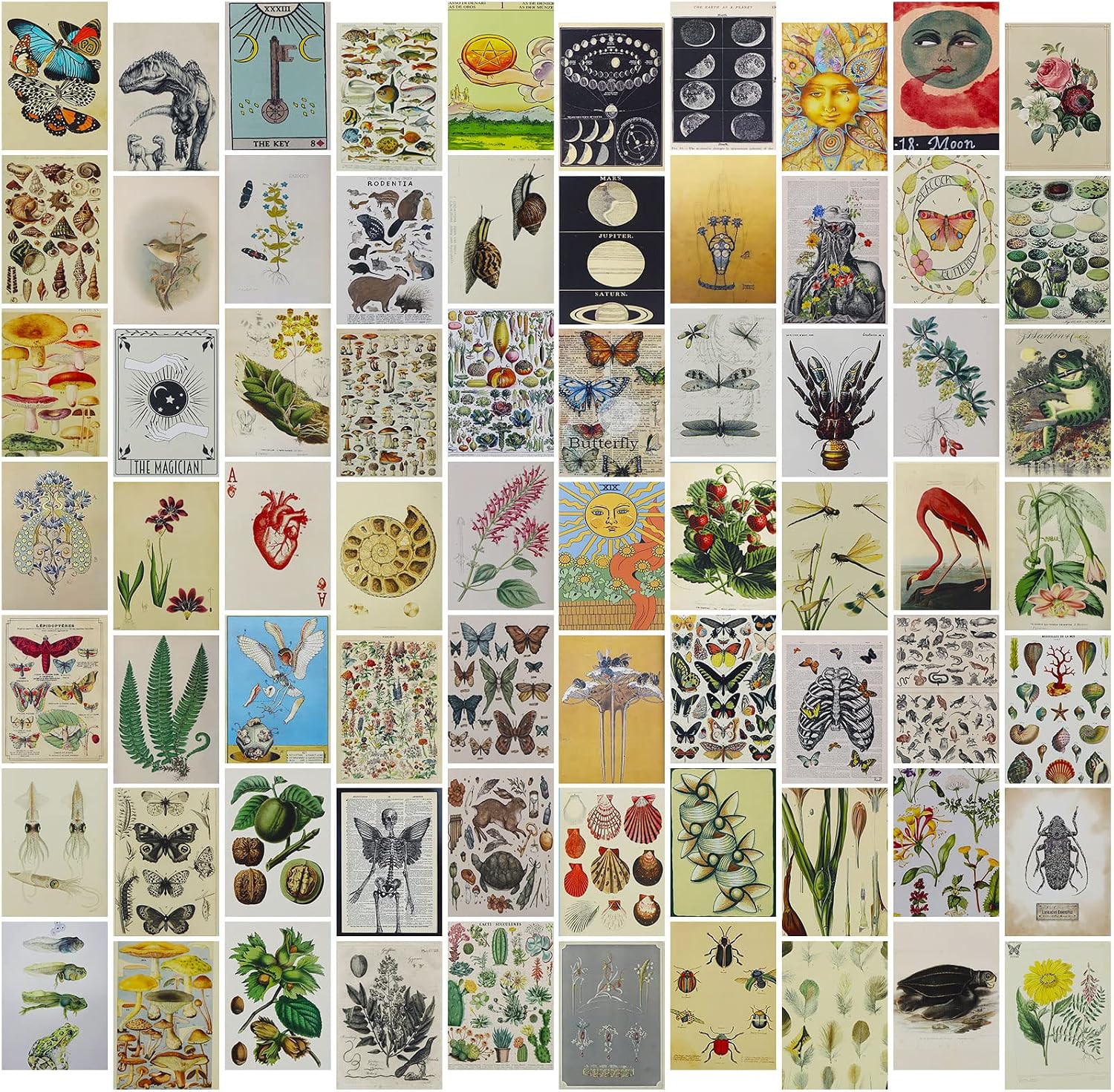 BRRSSIO Vintage Wall Collage Kit, Nature Aesthetic Pictures for Bedroom, VSCO Posters, Boho Photo Wall Decor for Girls Boys, Cottagecore Room Decor, Dorm Botanical Wall Art (70 pcs)