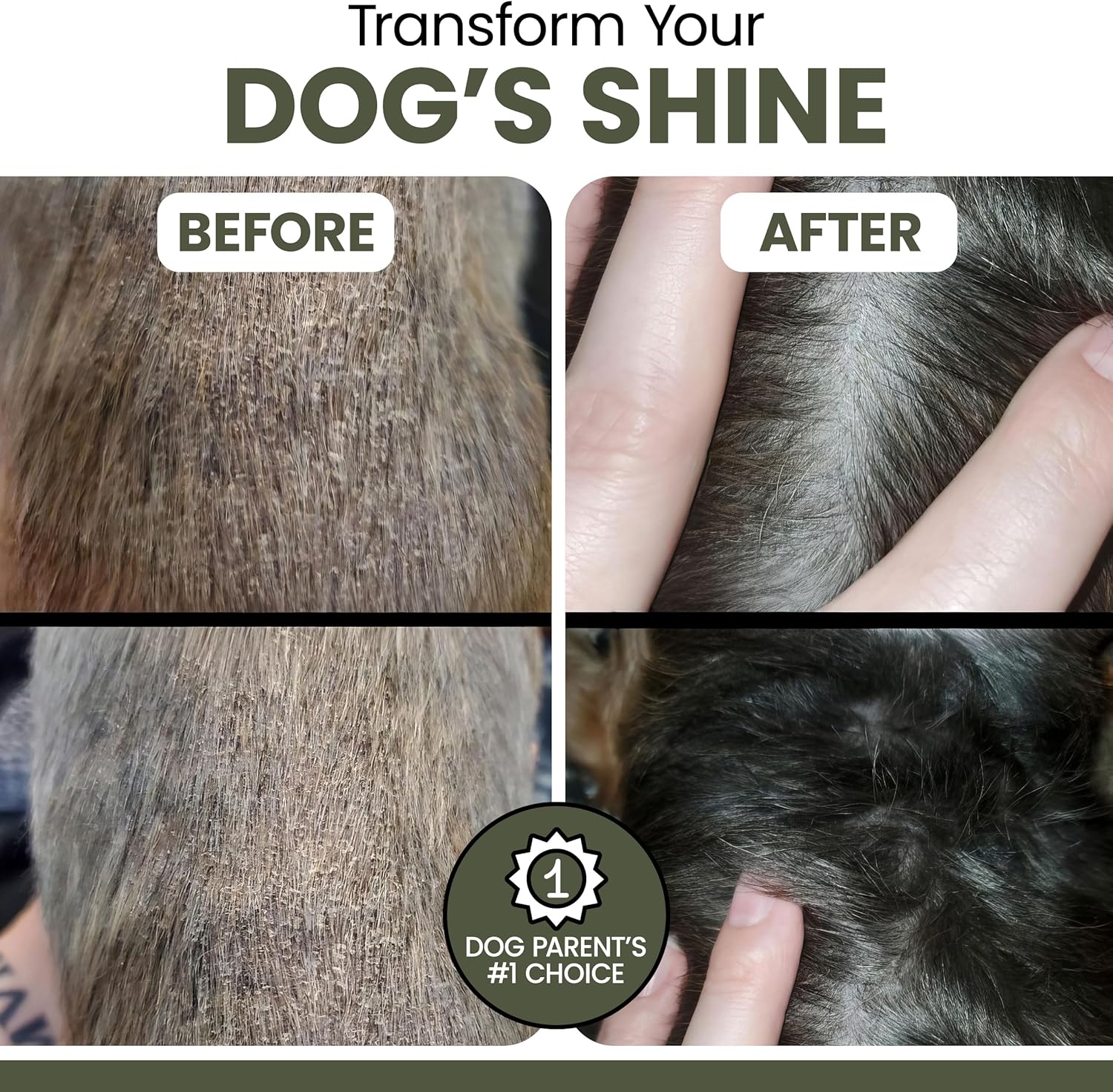 Pure Cod Liver Oil for Dogs - 16 oz - Contains Omega 3, Omega 6, Vitamin A, and Vitamin D to Reduce Itching and Promote Skin and Coat, Heart, Joint, and Immune Health - Pump Cap Bottle