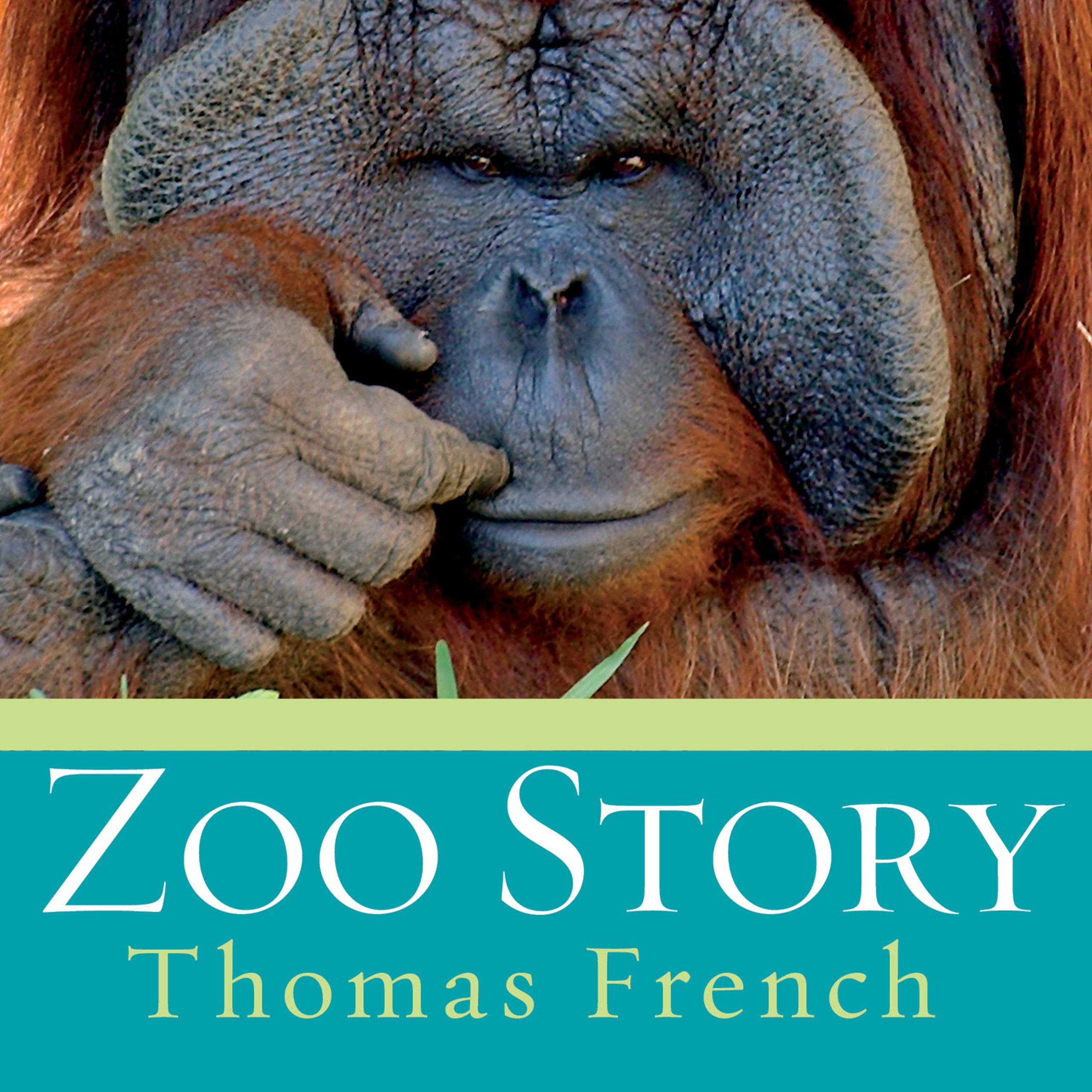 Cover art for Zoo Story