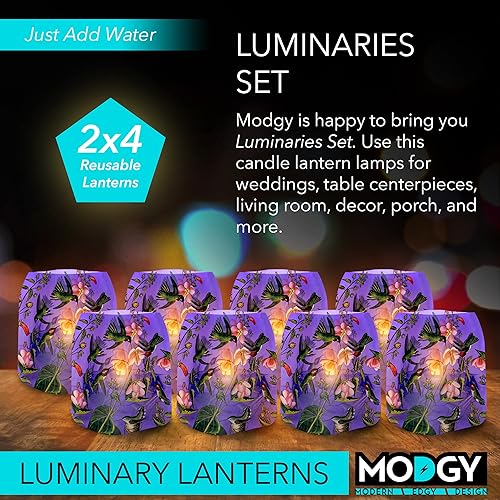 Miniatura 2 de MODGY Farol LED luminoso portavelas decorativo para interiores y exteriores, lámparas de vela de plástico para mesa de boda, porche, velas flotantes