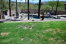 Review Image by J.K. Fitzgerald J.K. Fitzgerald