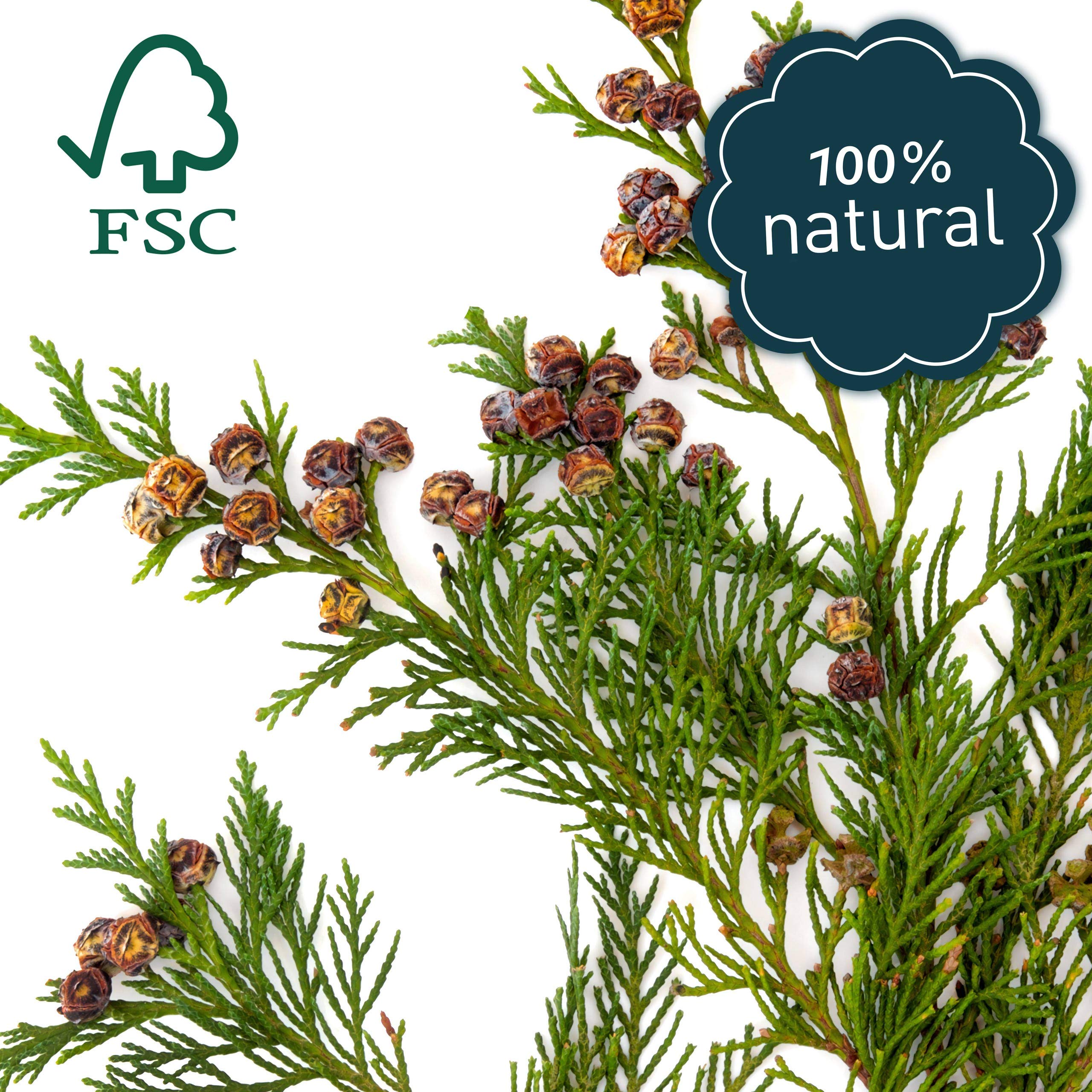 Moth Repellent for Wardrobes 30x Premium Cedar Wood Rings against